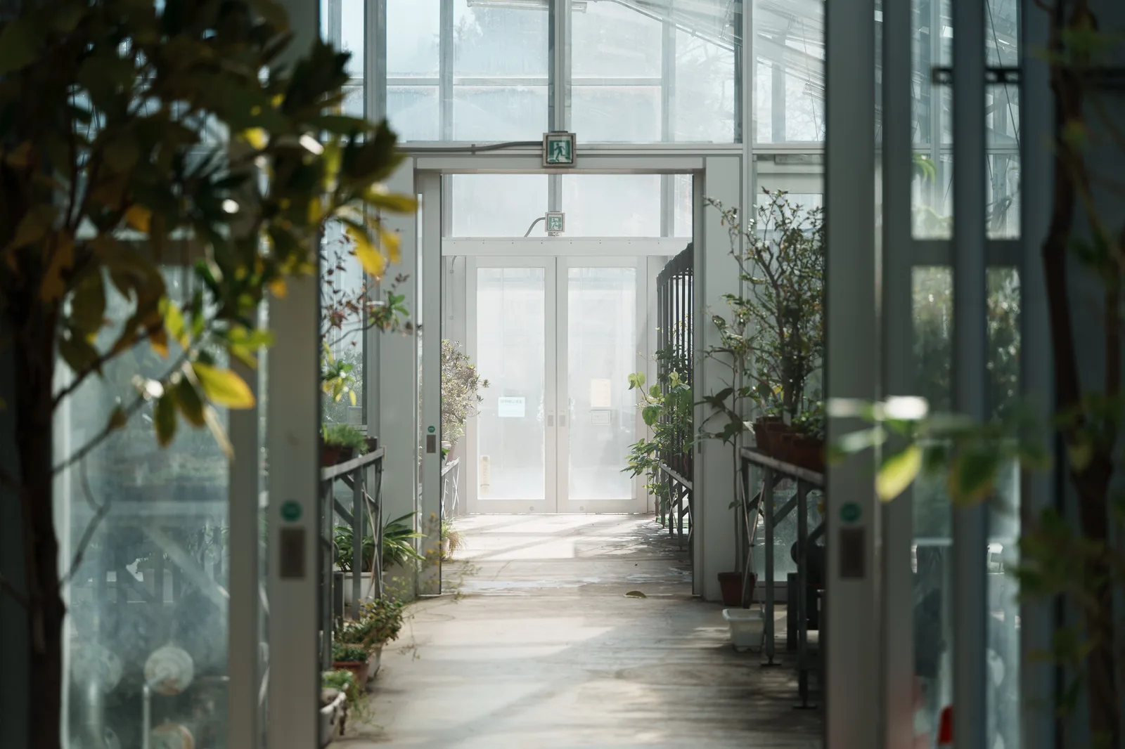 小石川植物園-59.jpg
