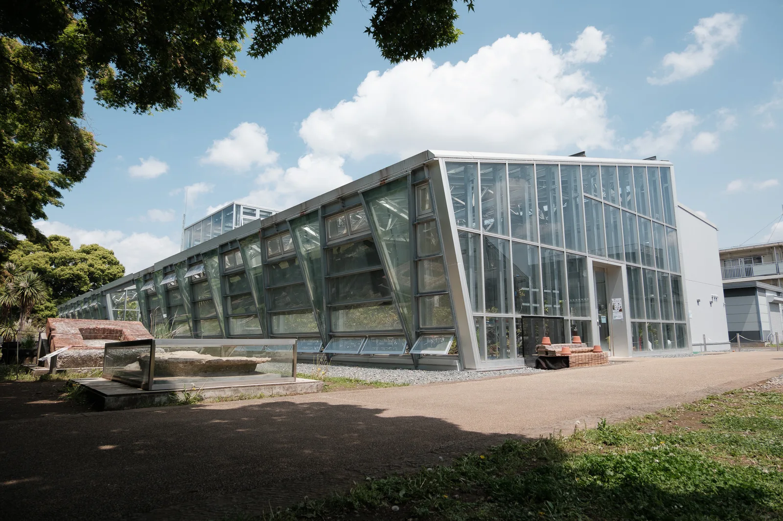 小石川植物園-01.jpg
