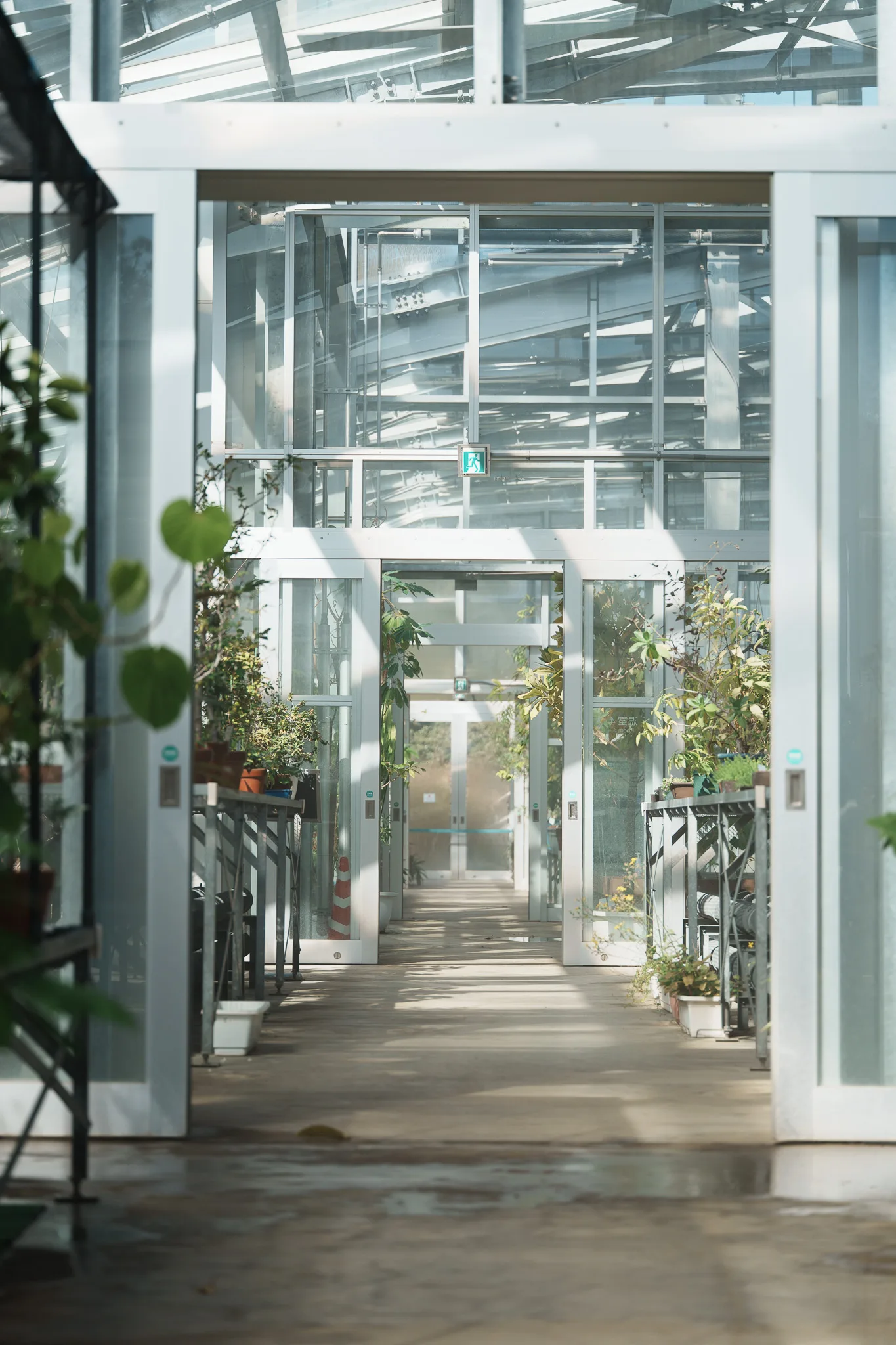 小石川植物園-02.jpg