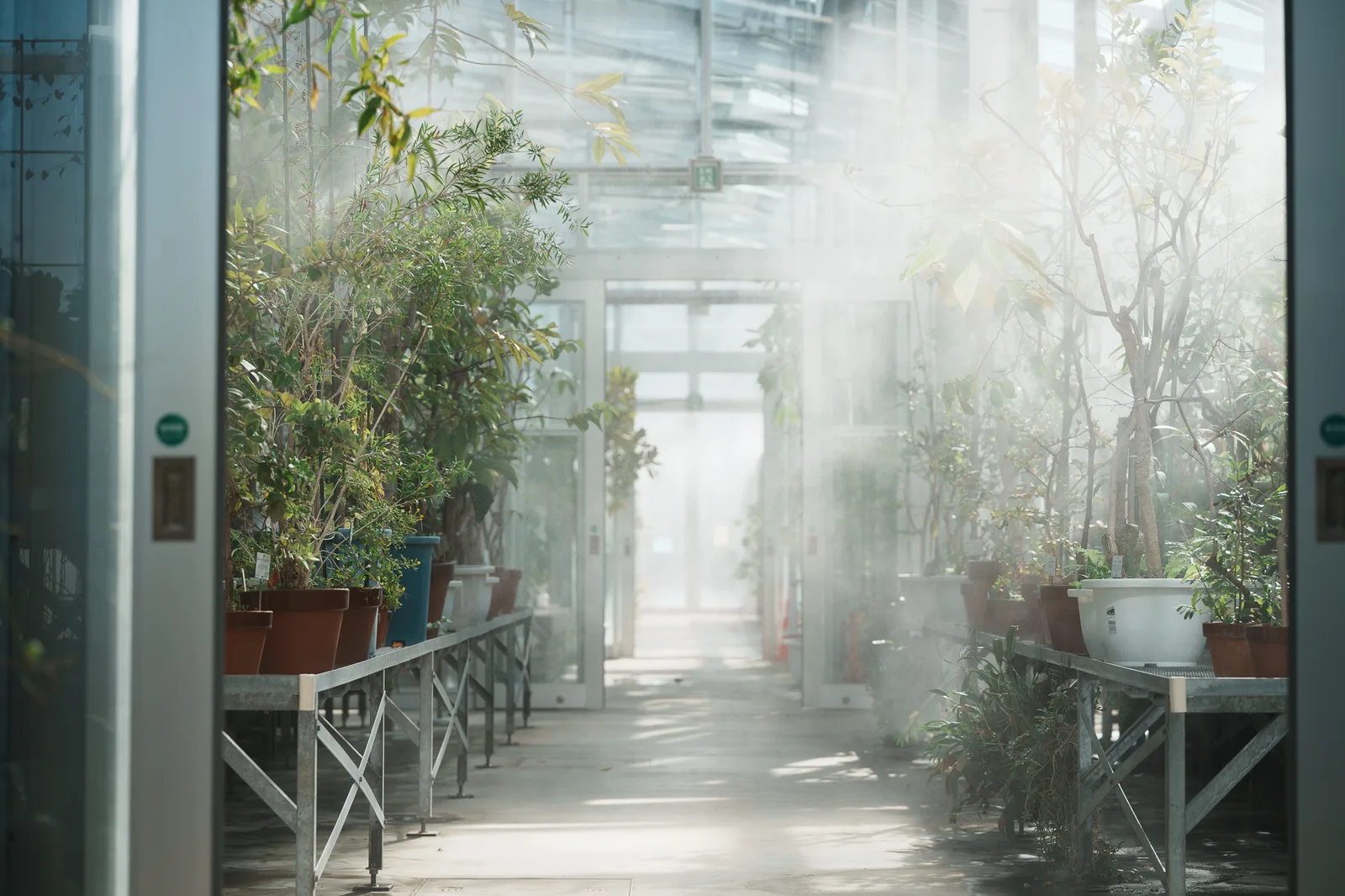 小石川植物園-03.jpg