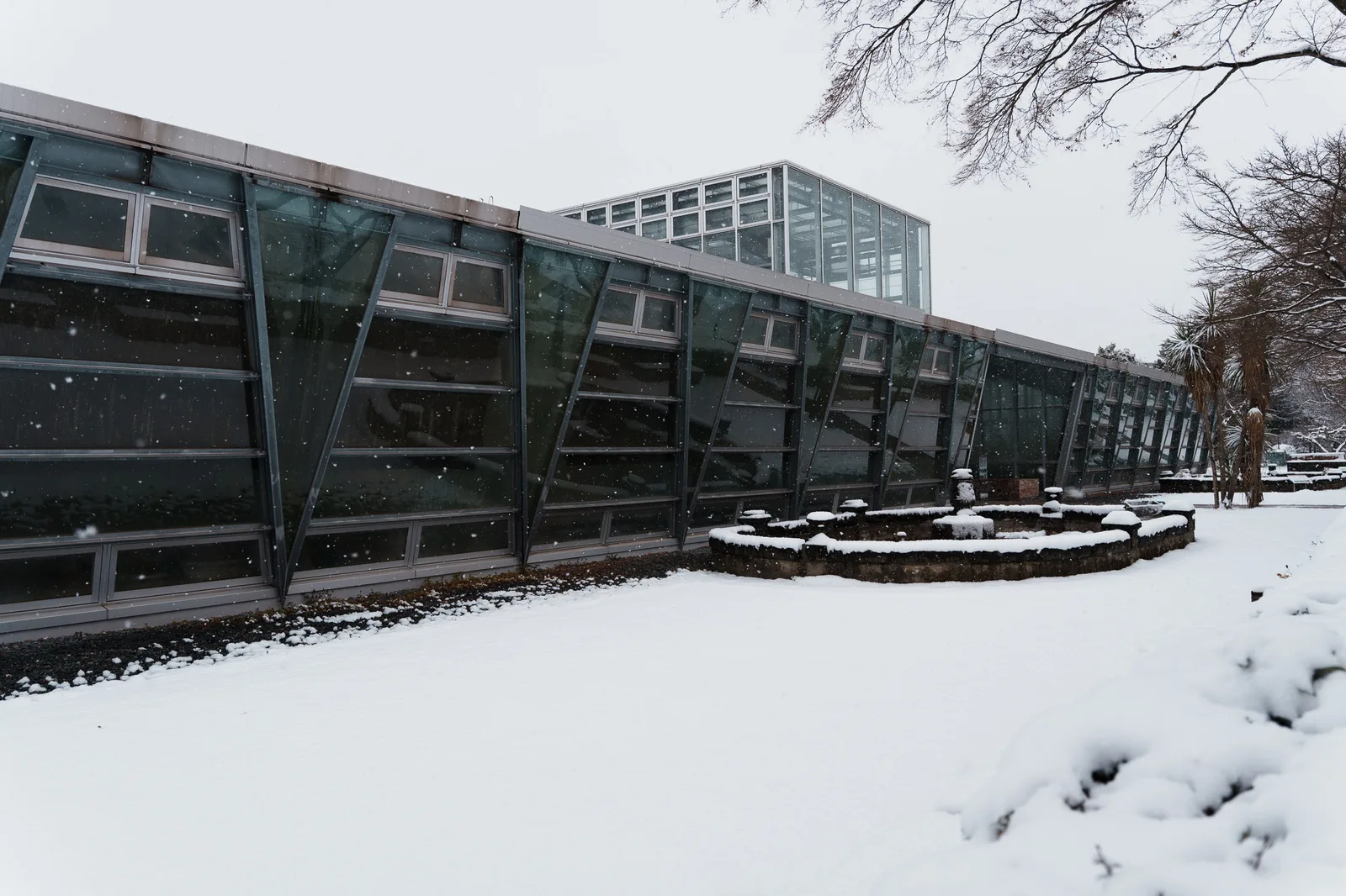 小石川植物園-69.jpg