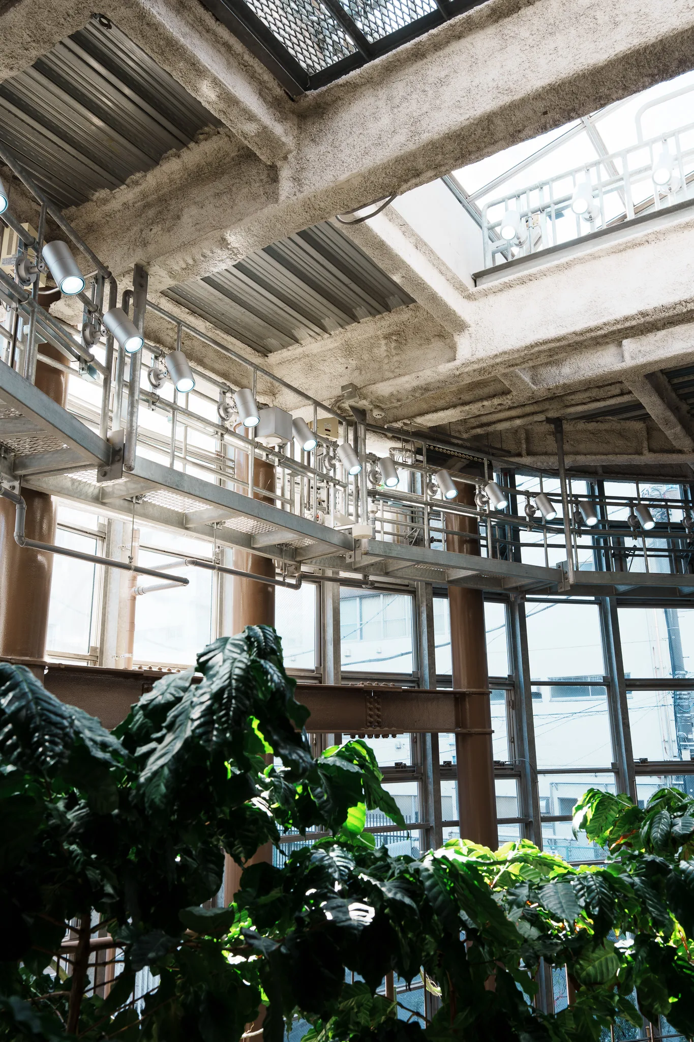 渋谷区ふれあい植物センター-10.jpg