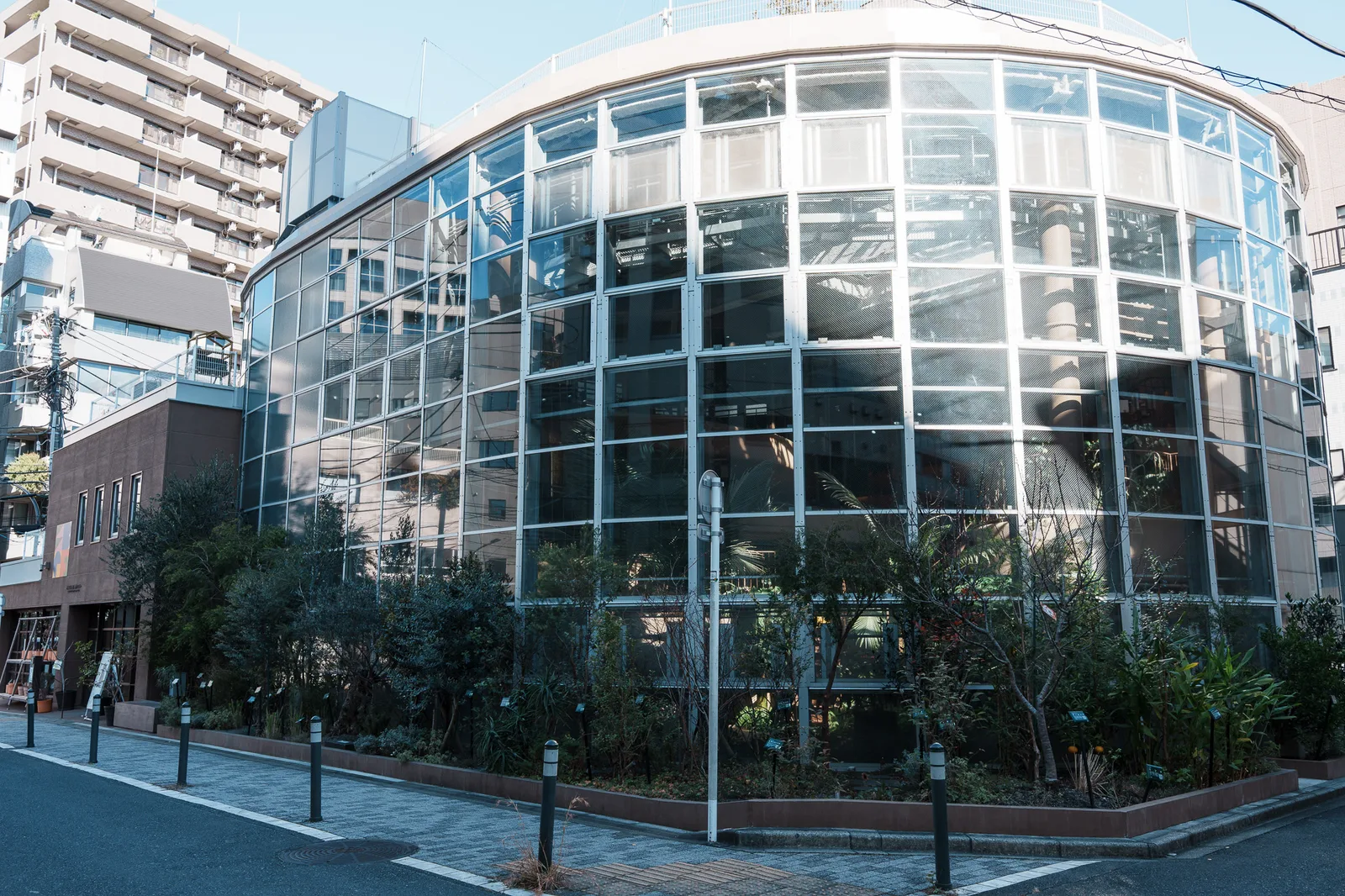 渋谷区ふれあい植物センター-01.jpg
