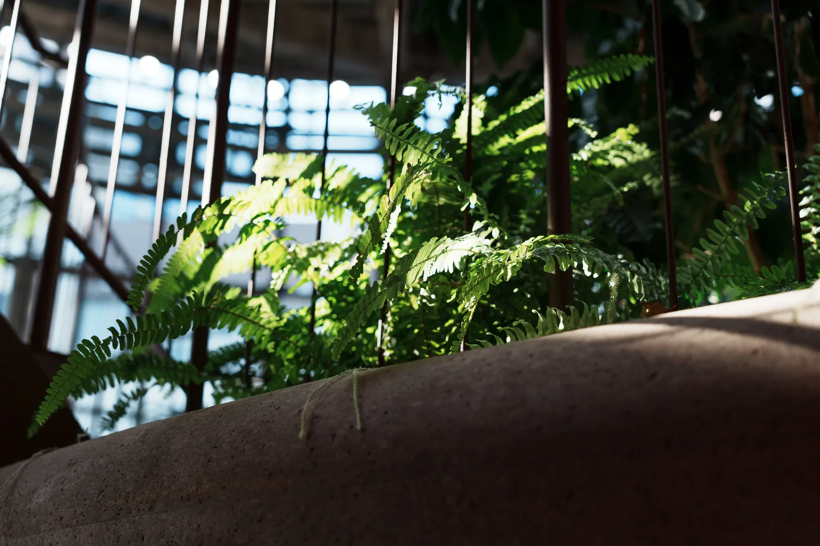 渋谷区ふれあい植物センター-08.jpg