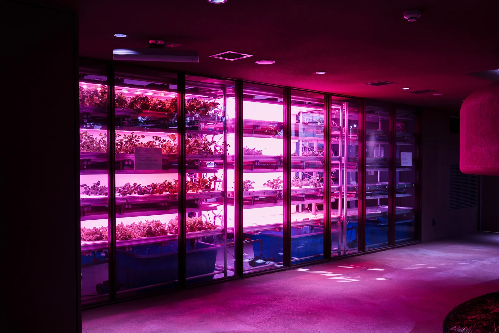 渋谷区ふれあい植物センター-04.jpg