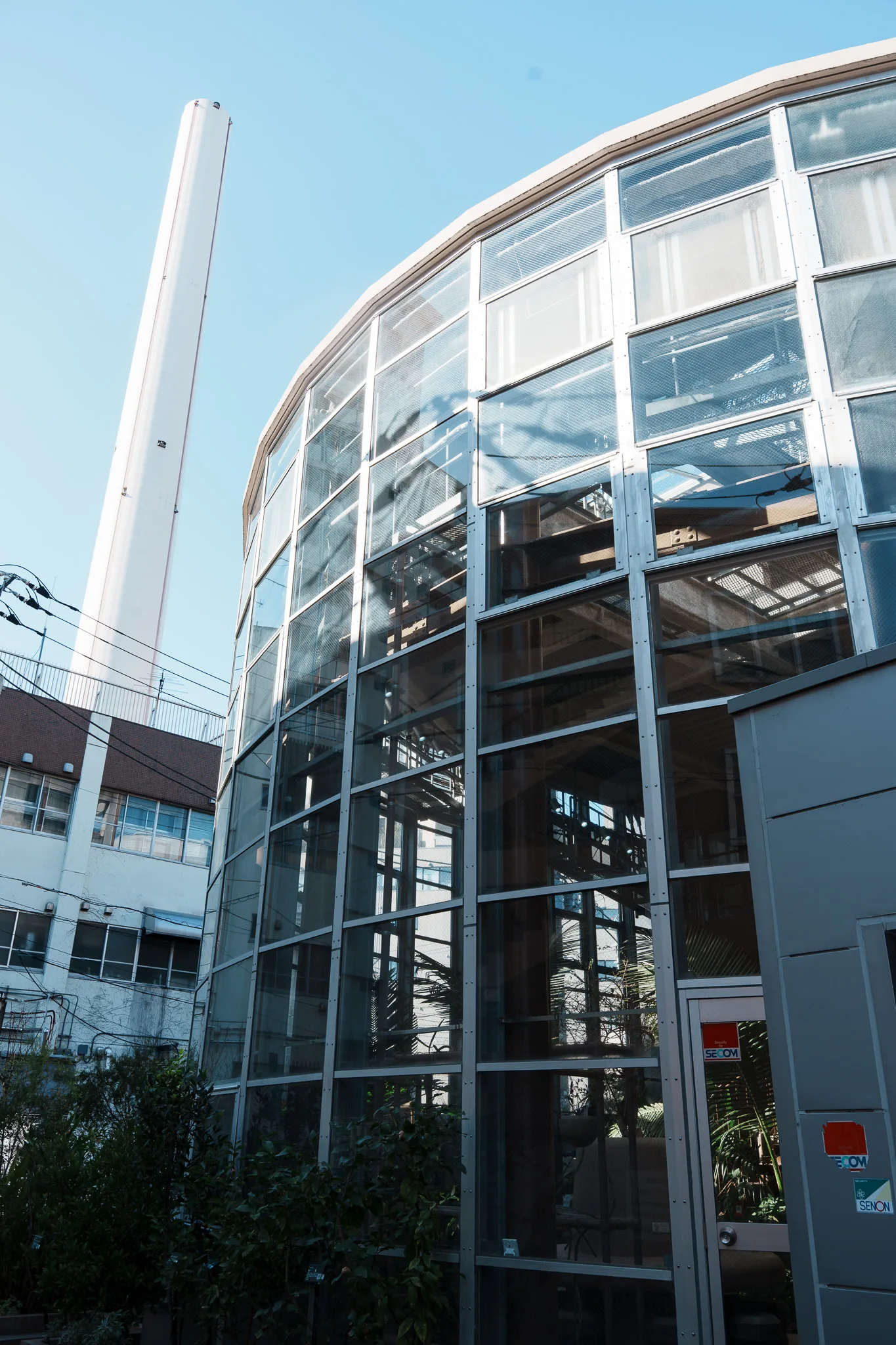 渋谷区ふれあい植物センター-11.jpg