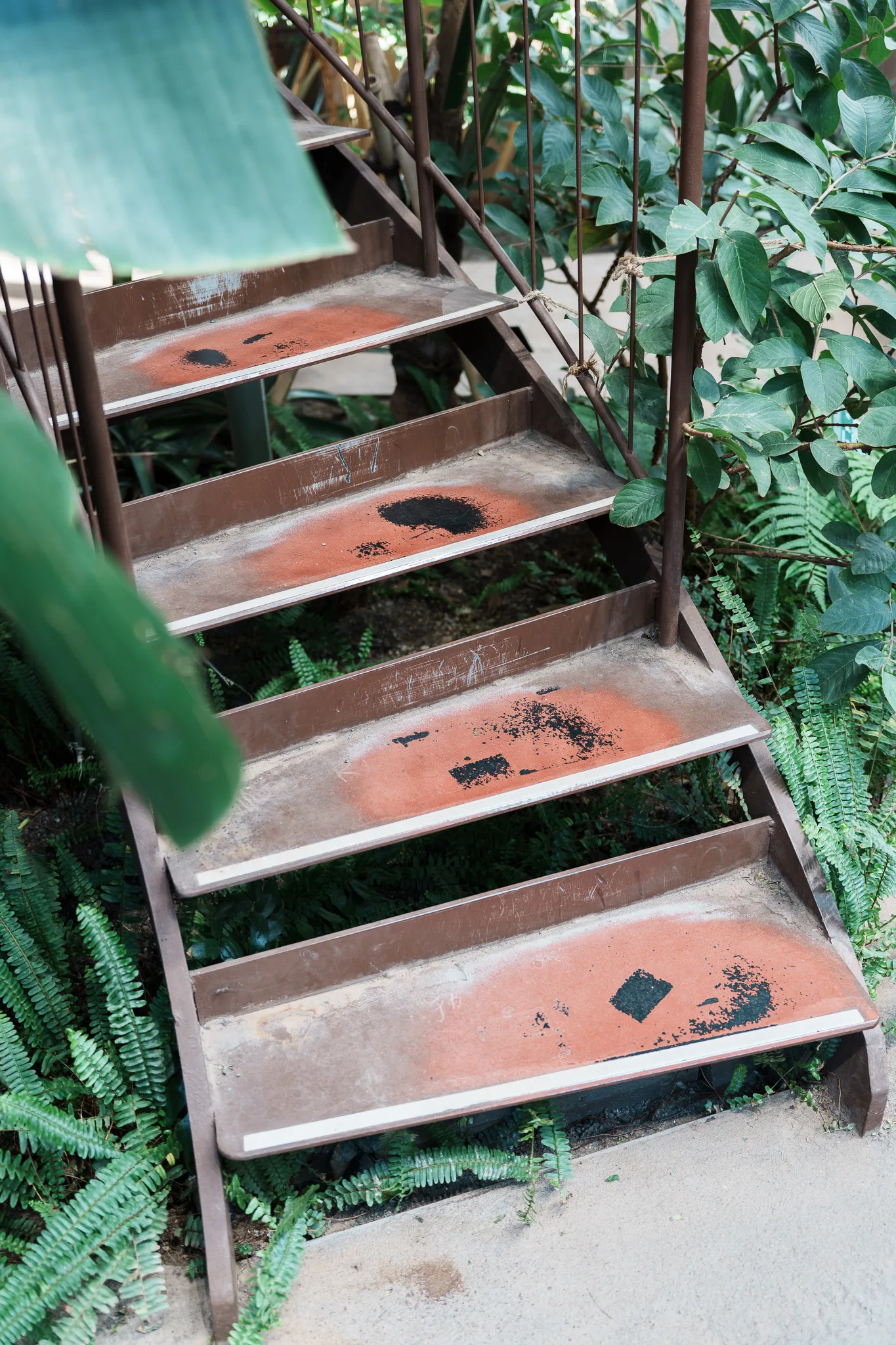 渋谷区ふれあい植物センター-07.jpg