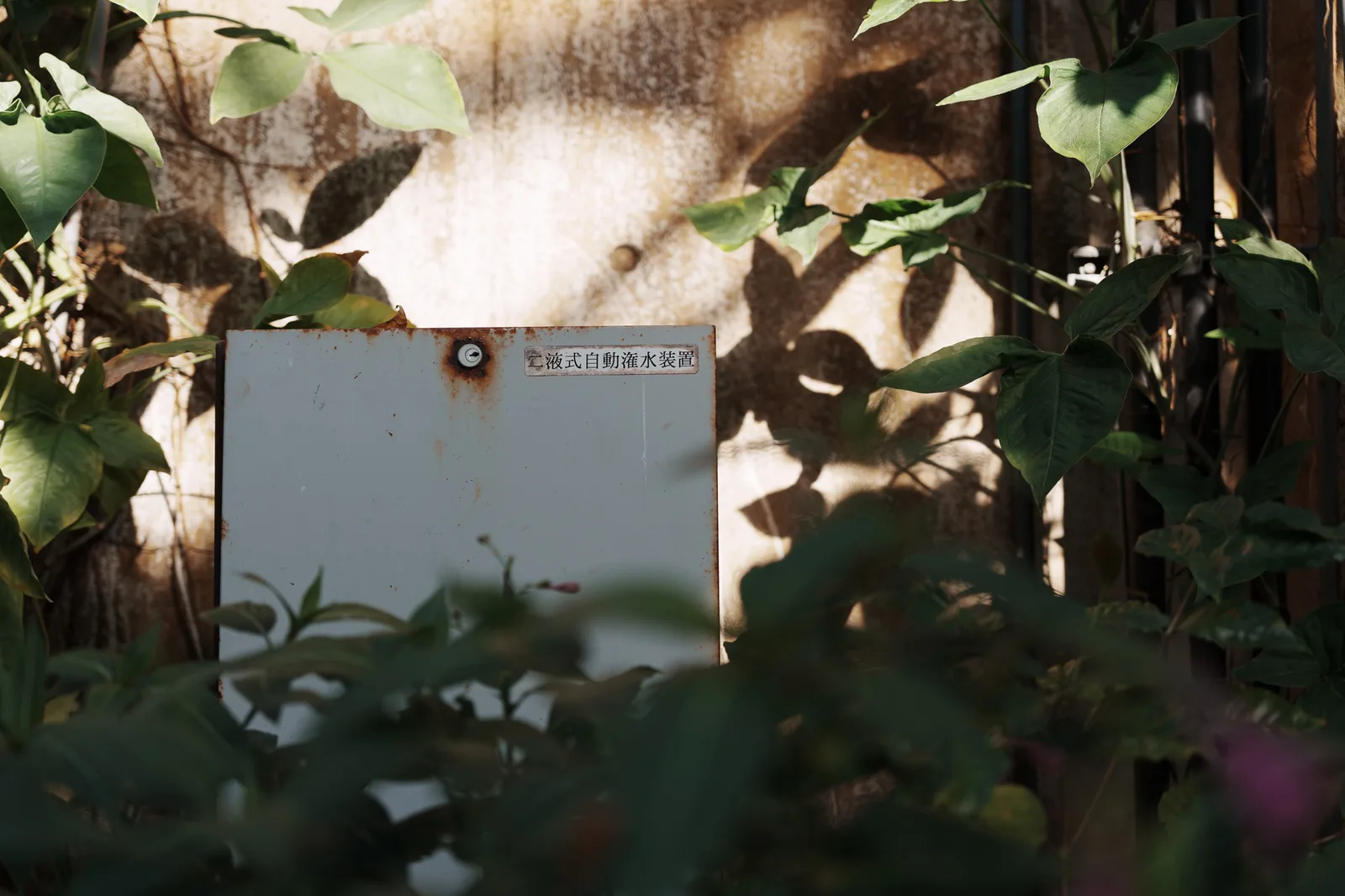 市川市動植物園-17.jpg
