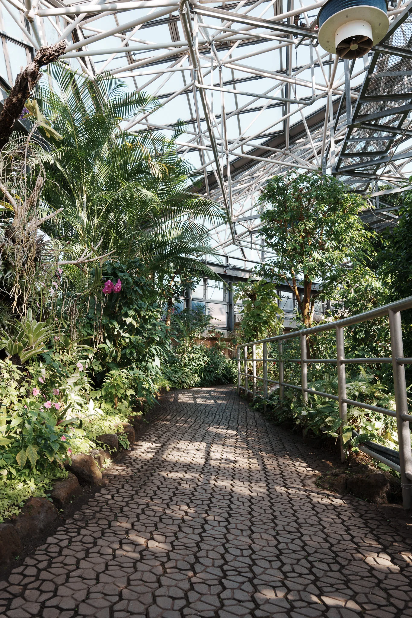 市川市動植物園-08.jpg