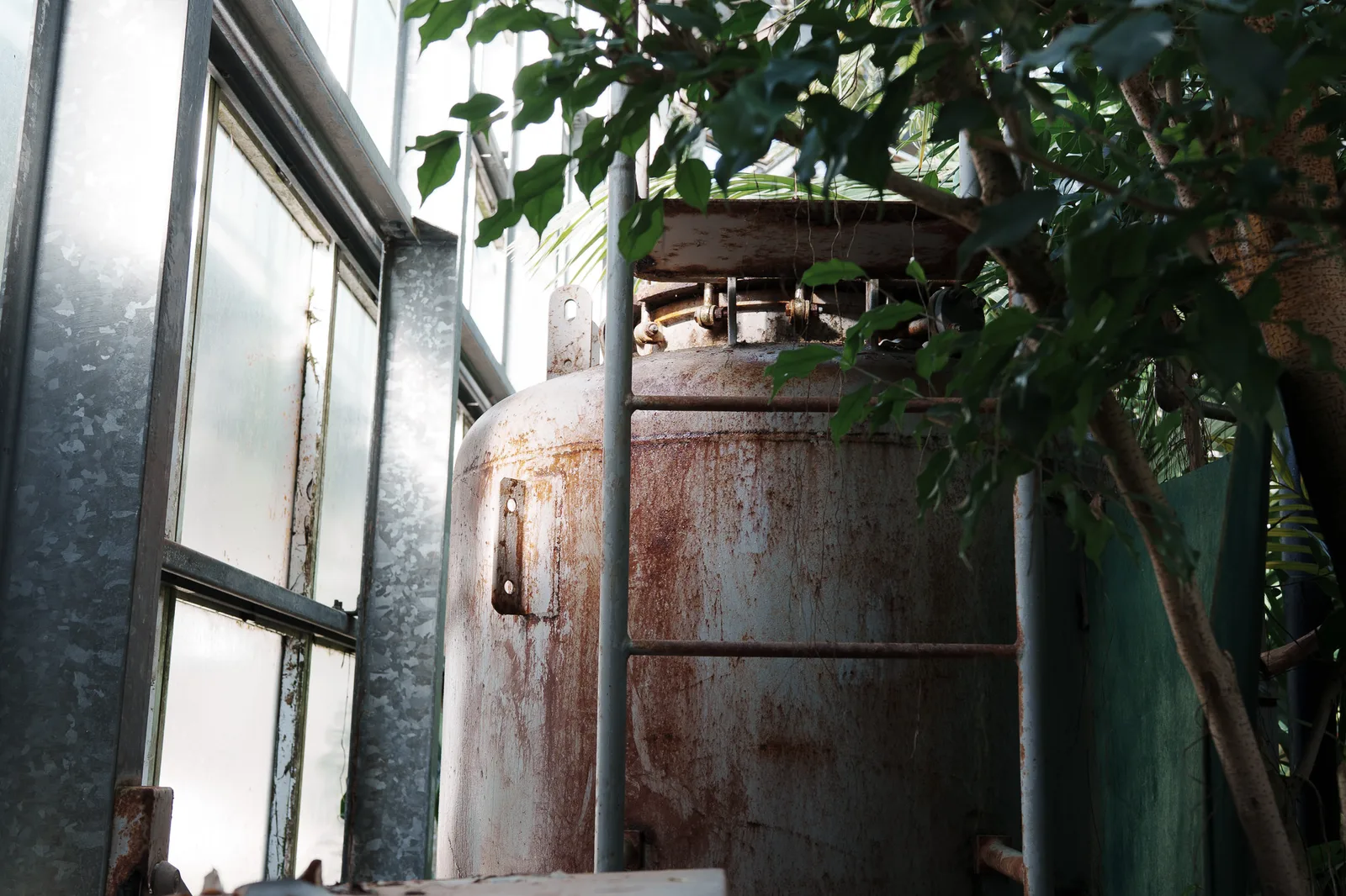 市川市動植物園-19.jpg
