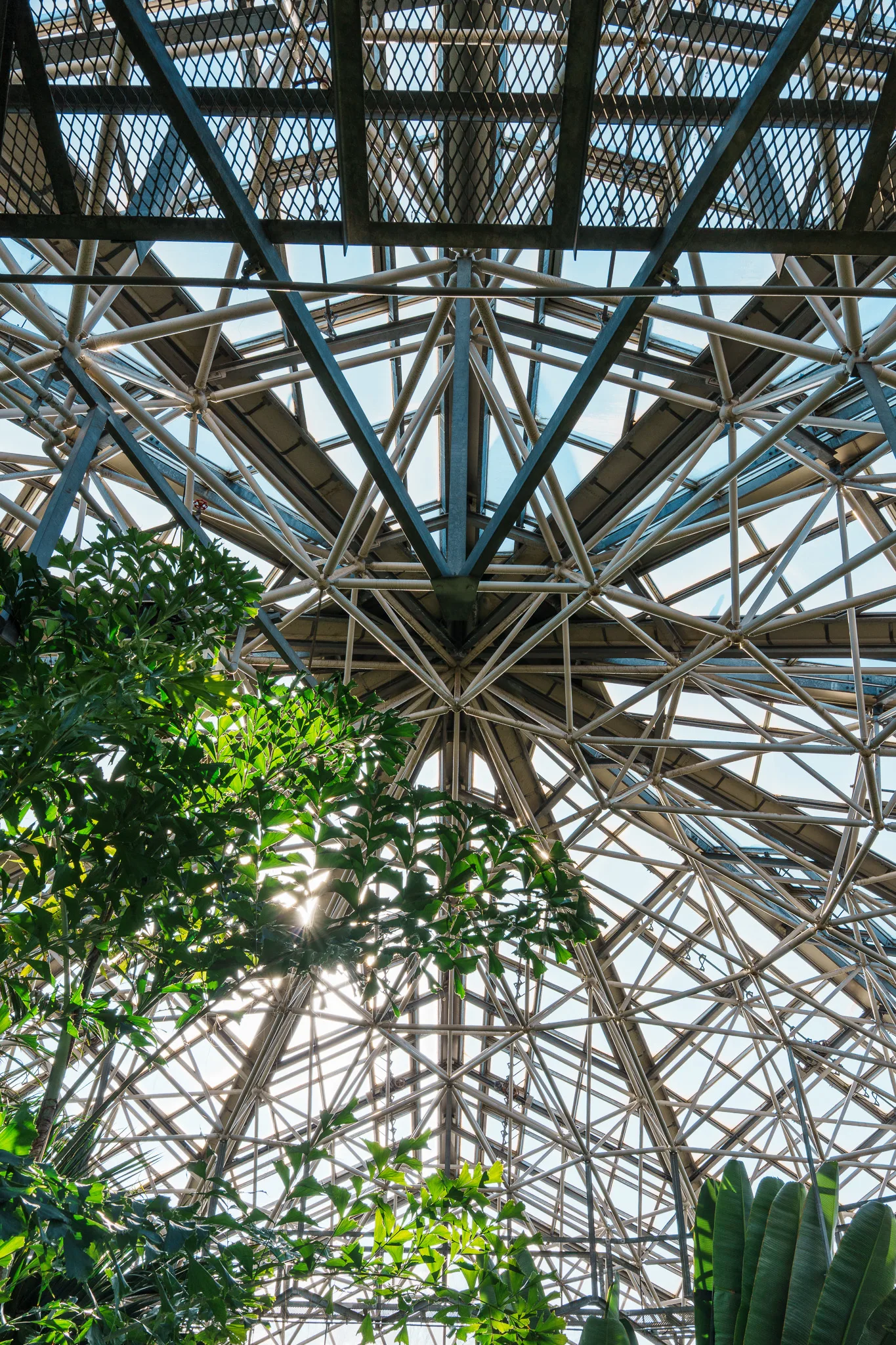 市川市動植物園-09.jpg