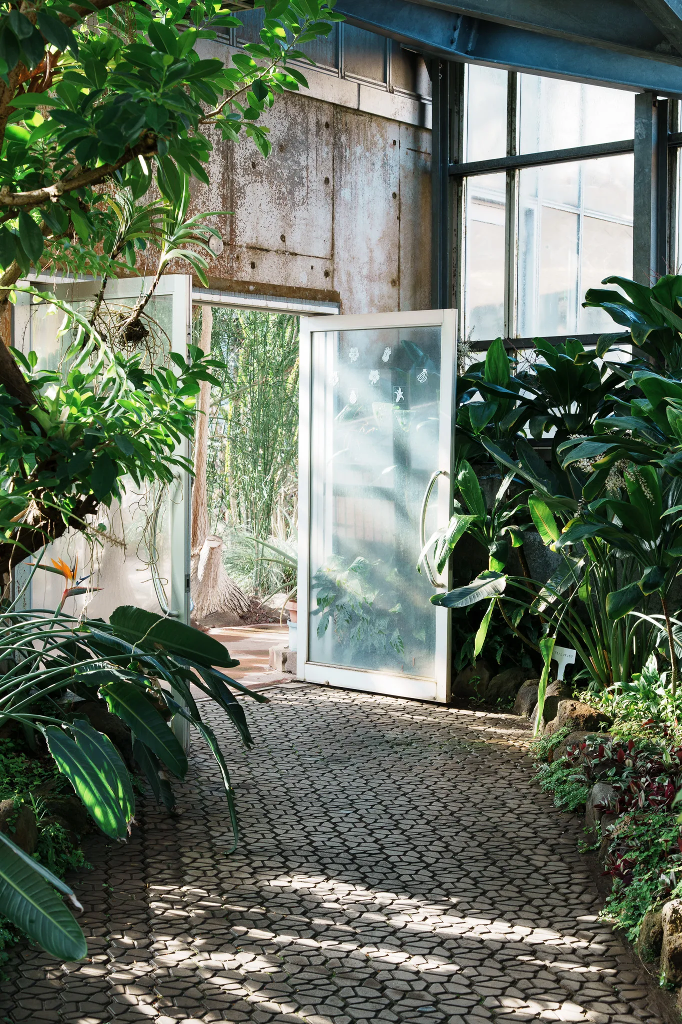 市川市動植物園-07.jpg