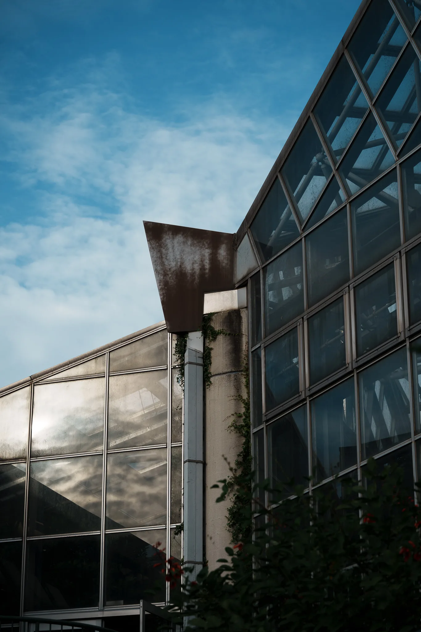 市川市動植物園-23.jpg