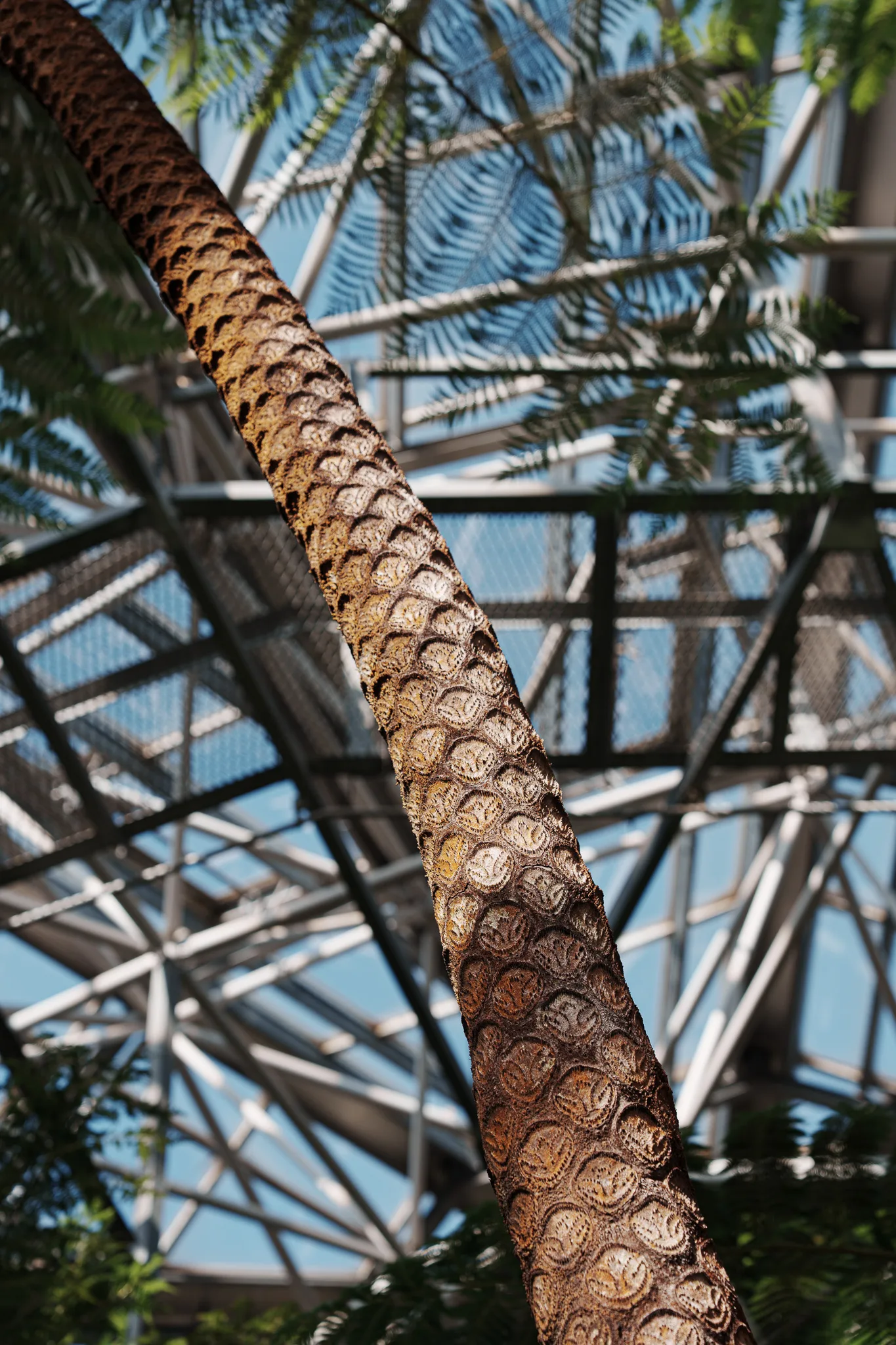 市川市動植物園-13.jpg