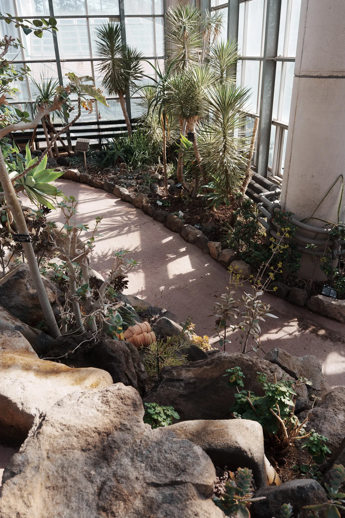 市川市動植物園-03.jpg