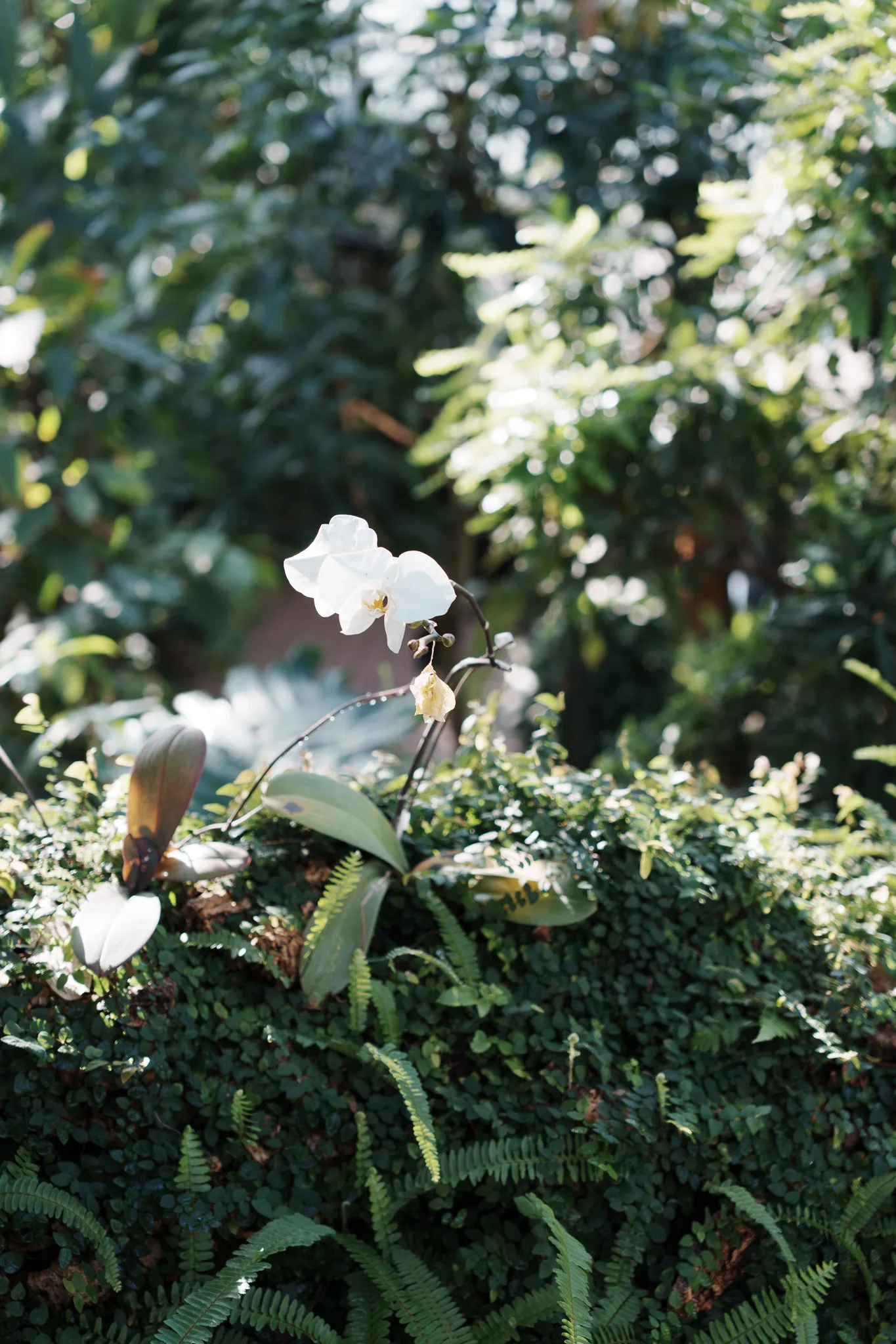 市川市動植物園-15.jpg