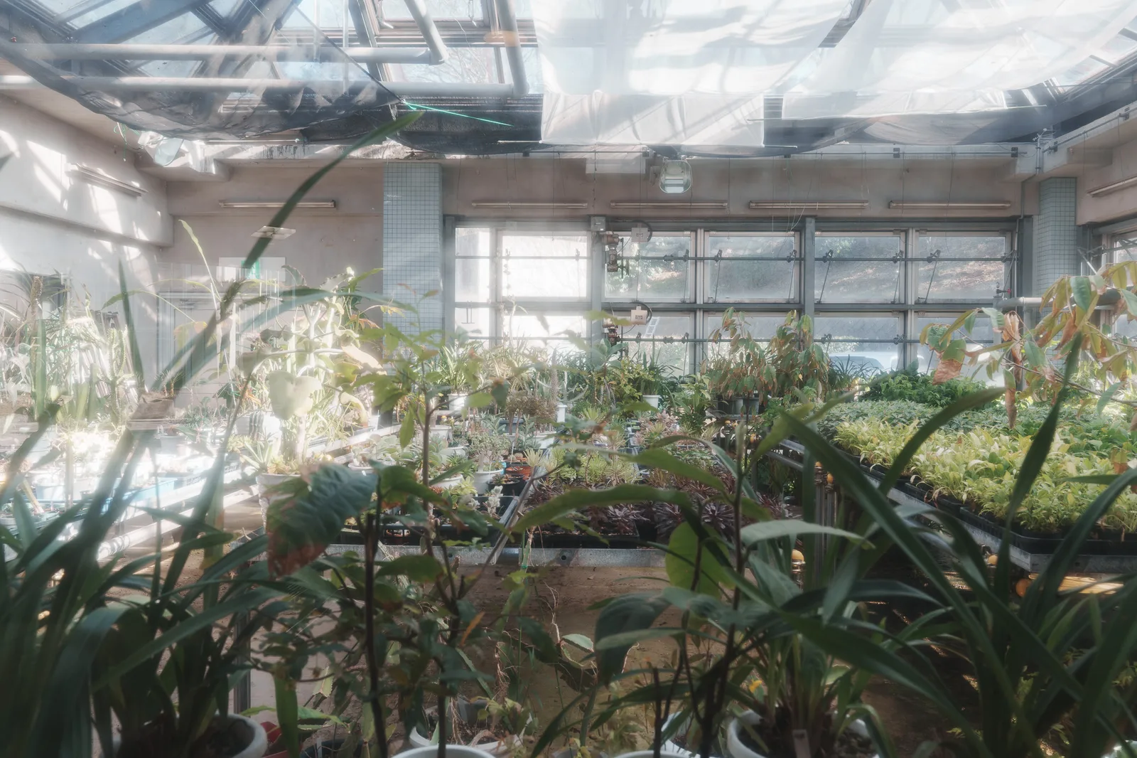 市川市動植物園-24.jpg