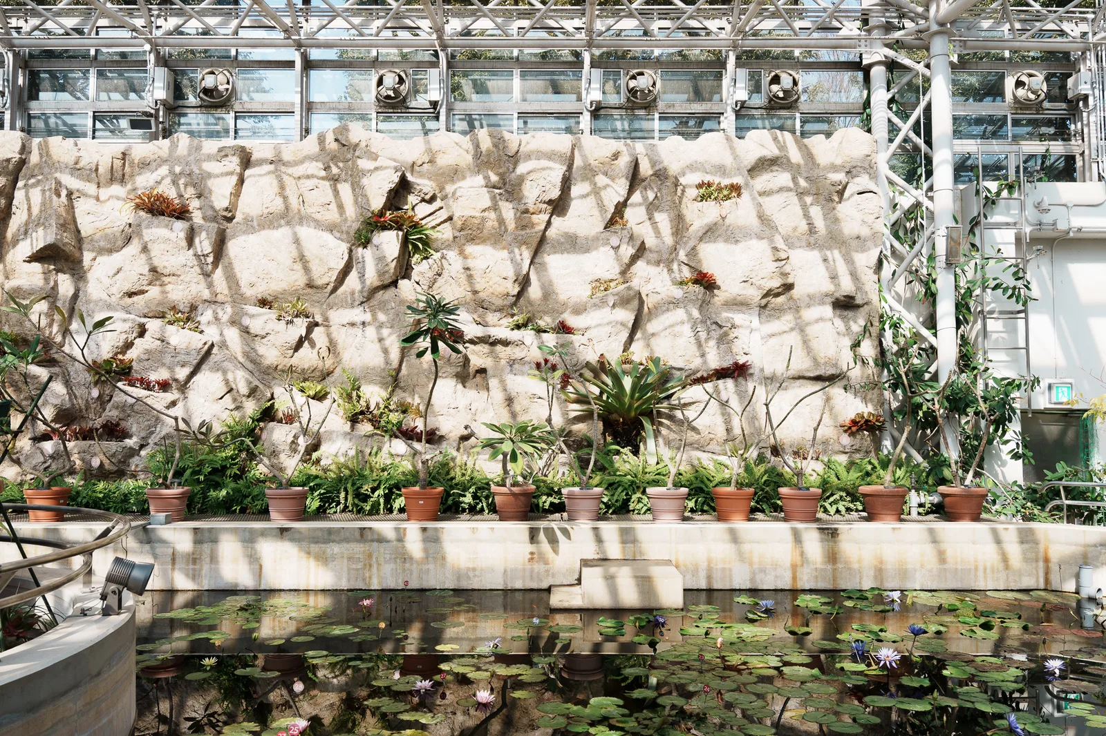 神代植物公園-31.jpg