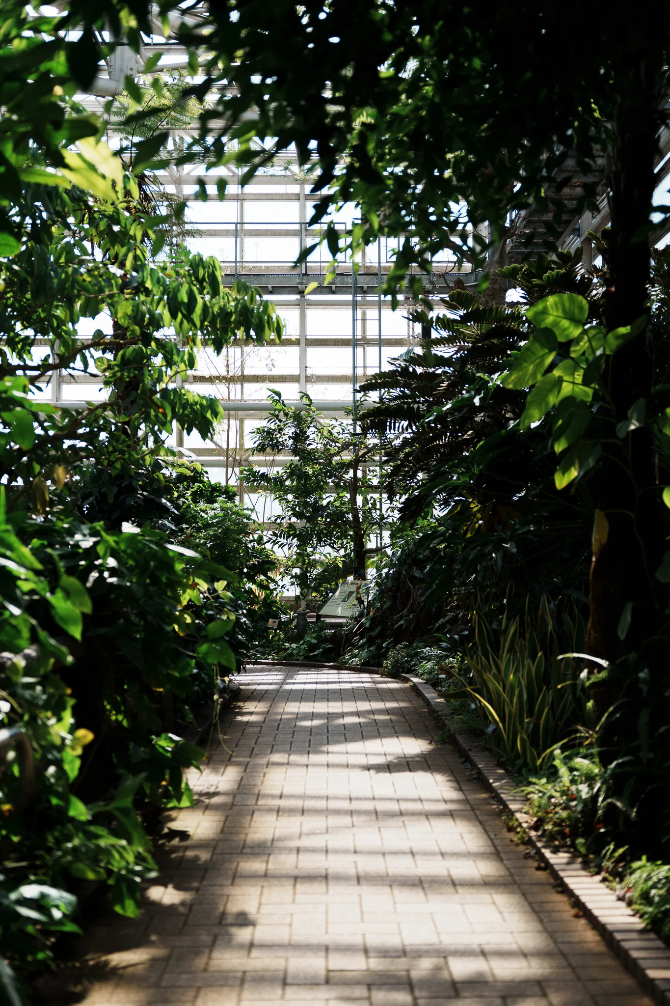 神代植物公園-17.jpg