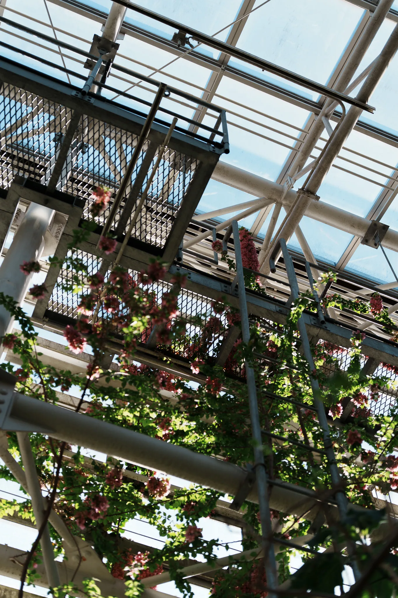 神代植物公園-04.jpg