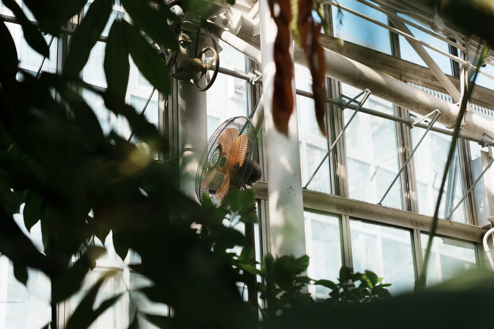 神代植物公園-08.jpg