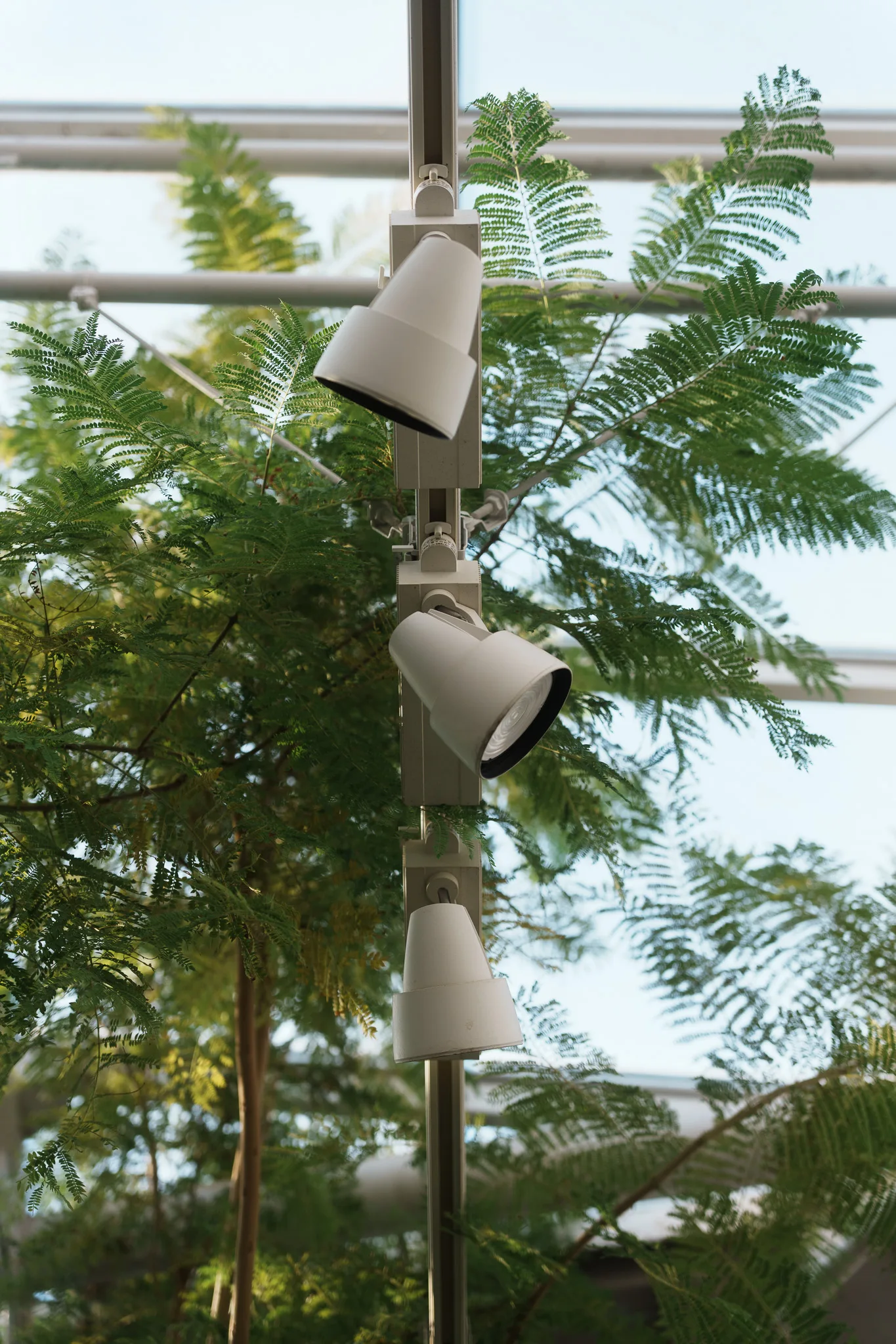 神代植物公園-10.jpg