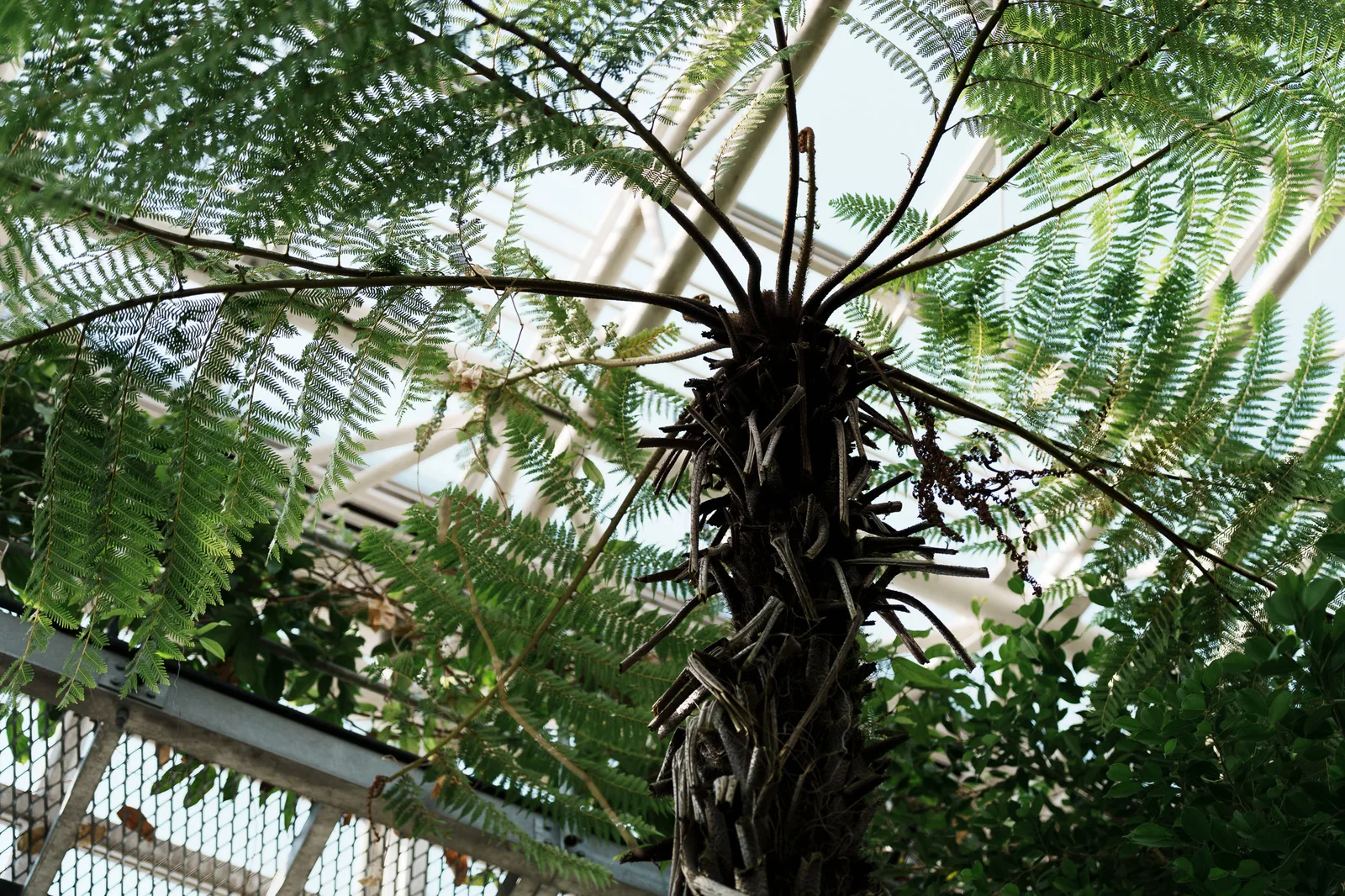神代植物公園-16.jpg