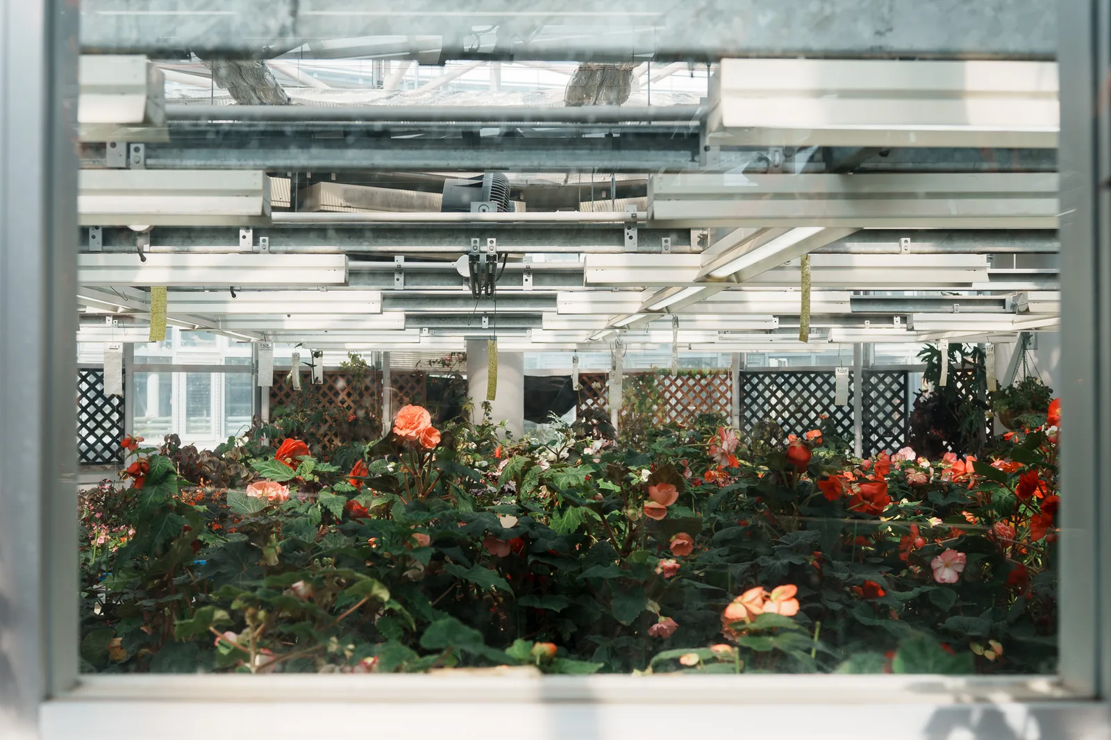 神代植物公園-28.jpg