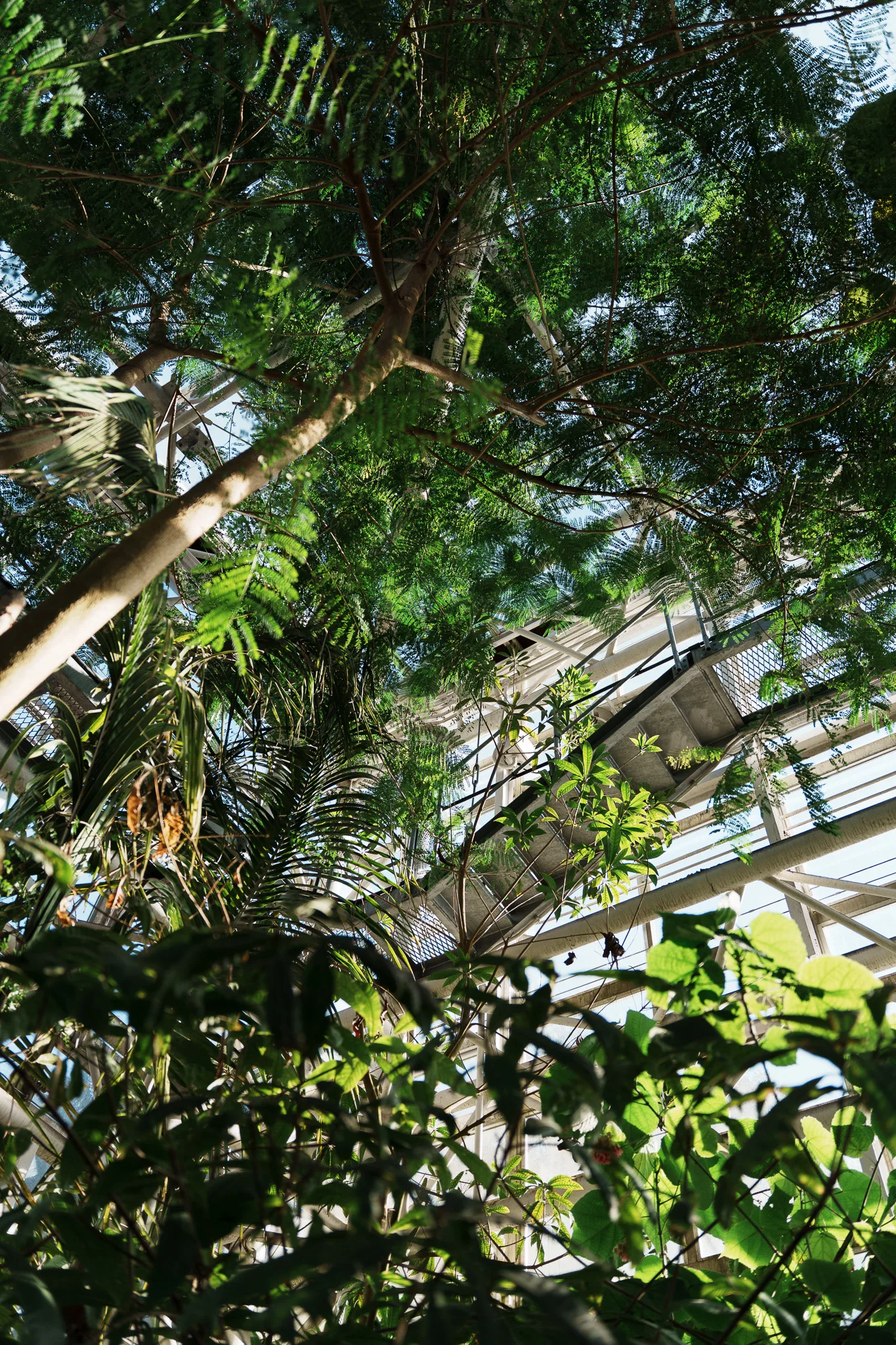 神代植物公園-03.jpg