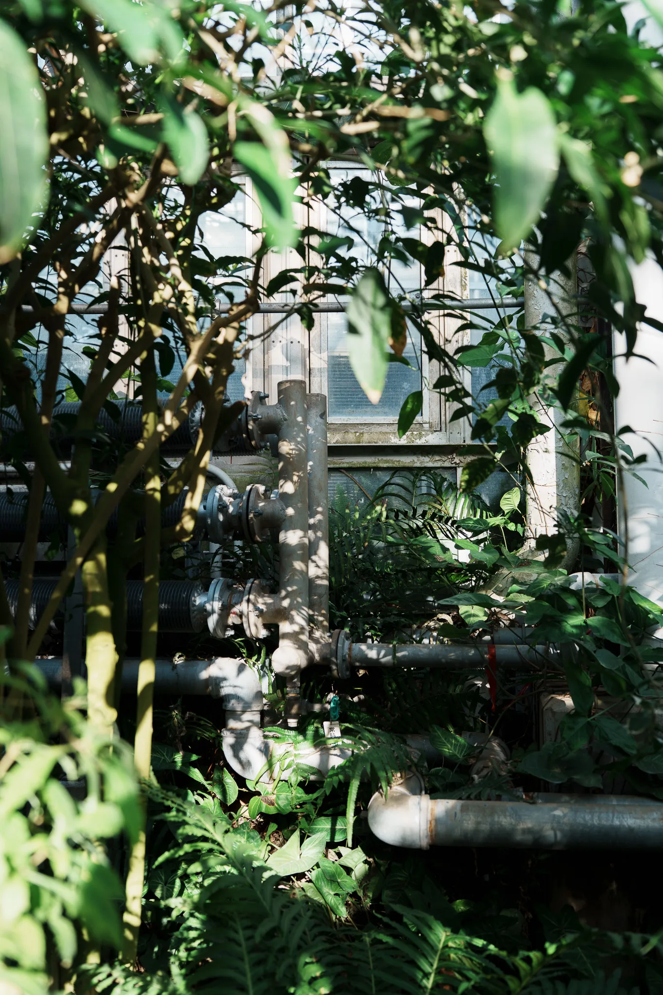 神代植物公園-05.jpg