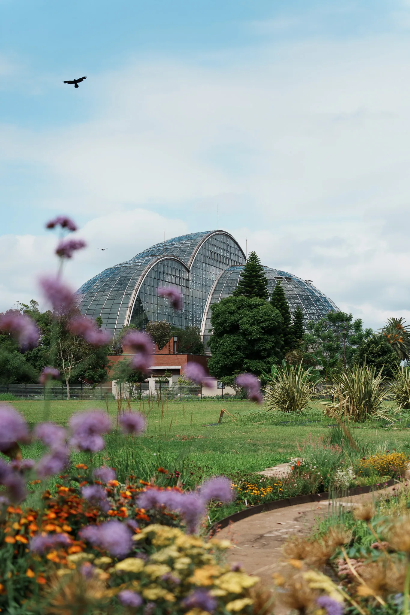 夢の島熱帯植物館-01.jpg