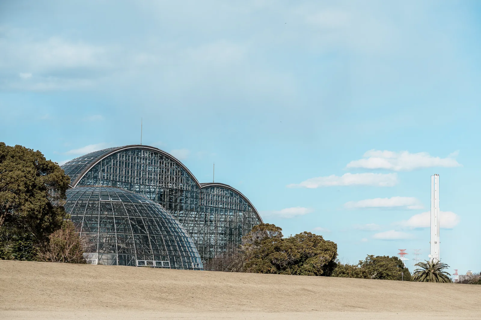 夢の島熱帯植物館-61.jpg