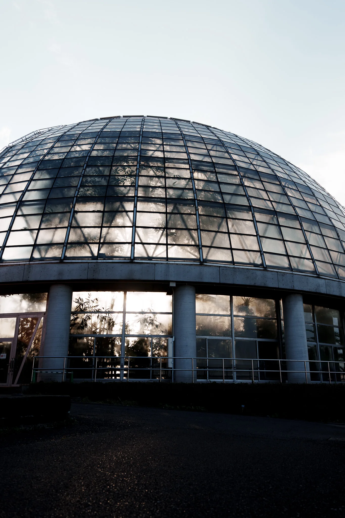 夢の島熱帯植物館-41.jpg