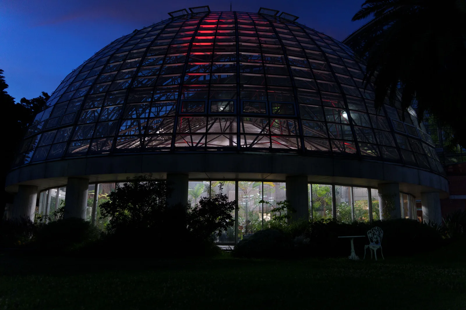 夢の島熱帯植物館-53.jpg