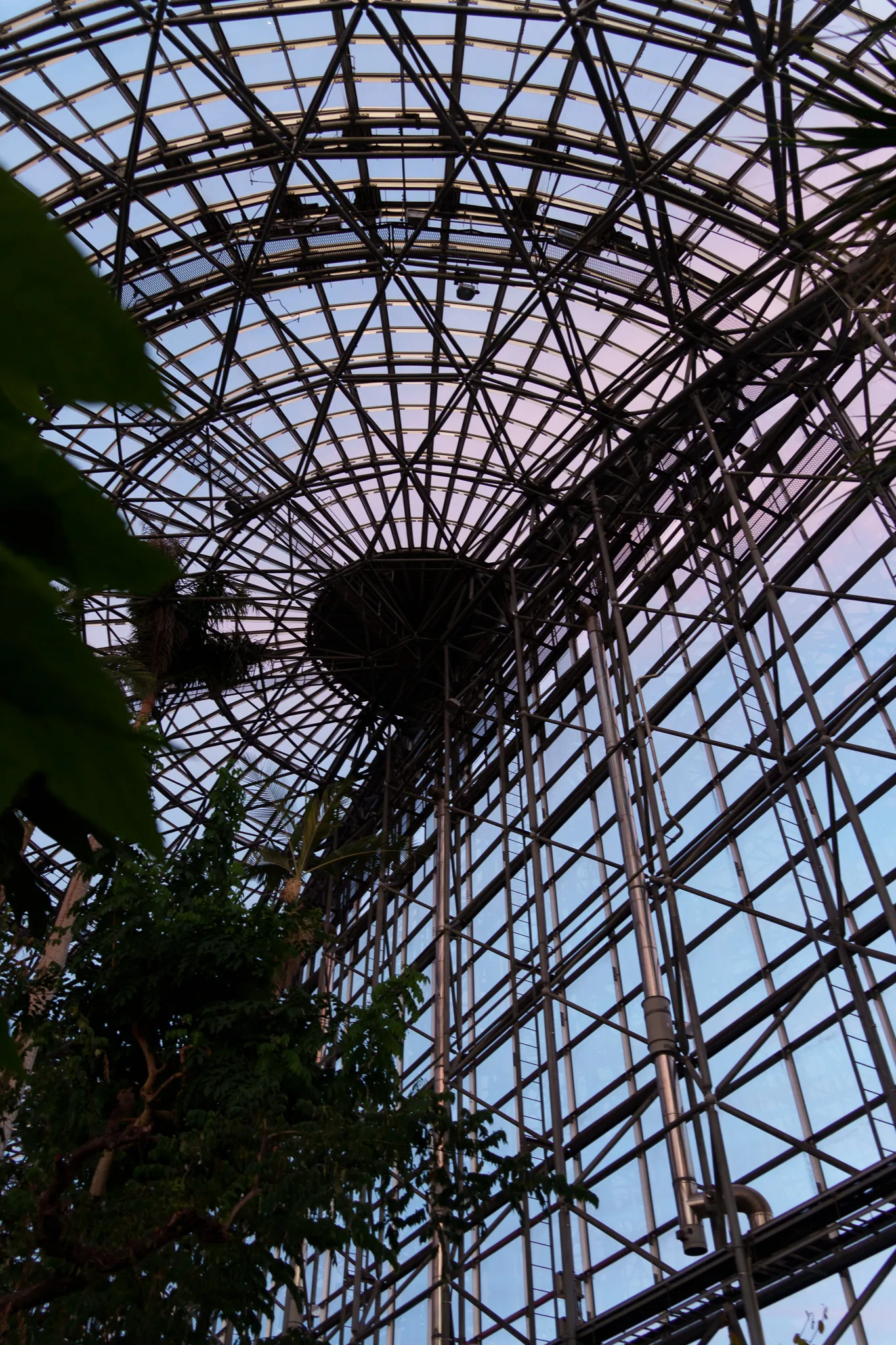 夢の島熱帯植物館-44.jpg