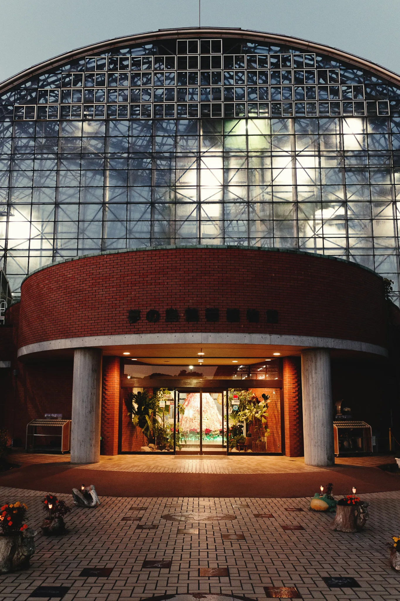 夢の島熱帯植物館-52.jpg