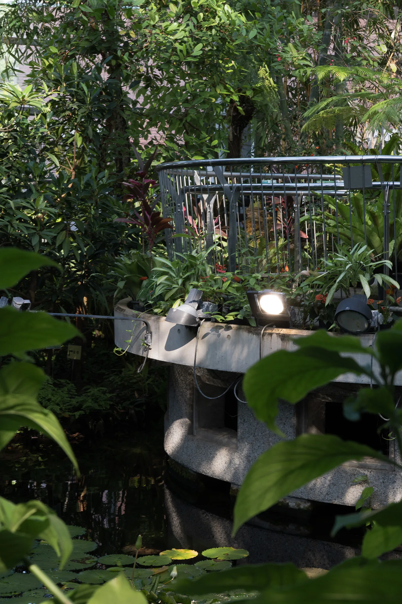 夢の島熱帯植物館-04.jpg