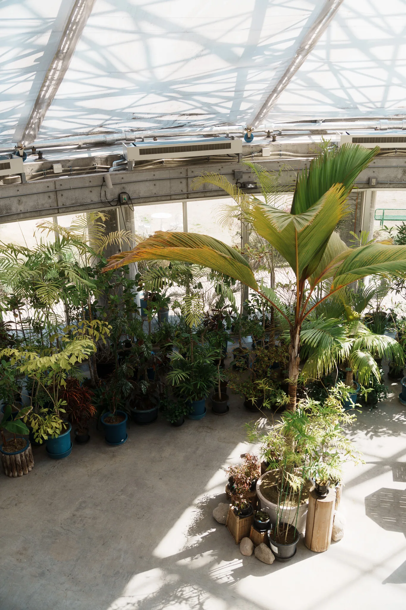 夢の島熱帯植物館-31.jpg