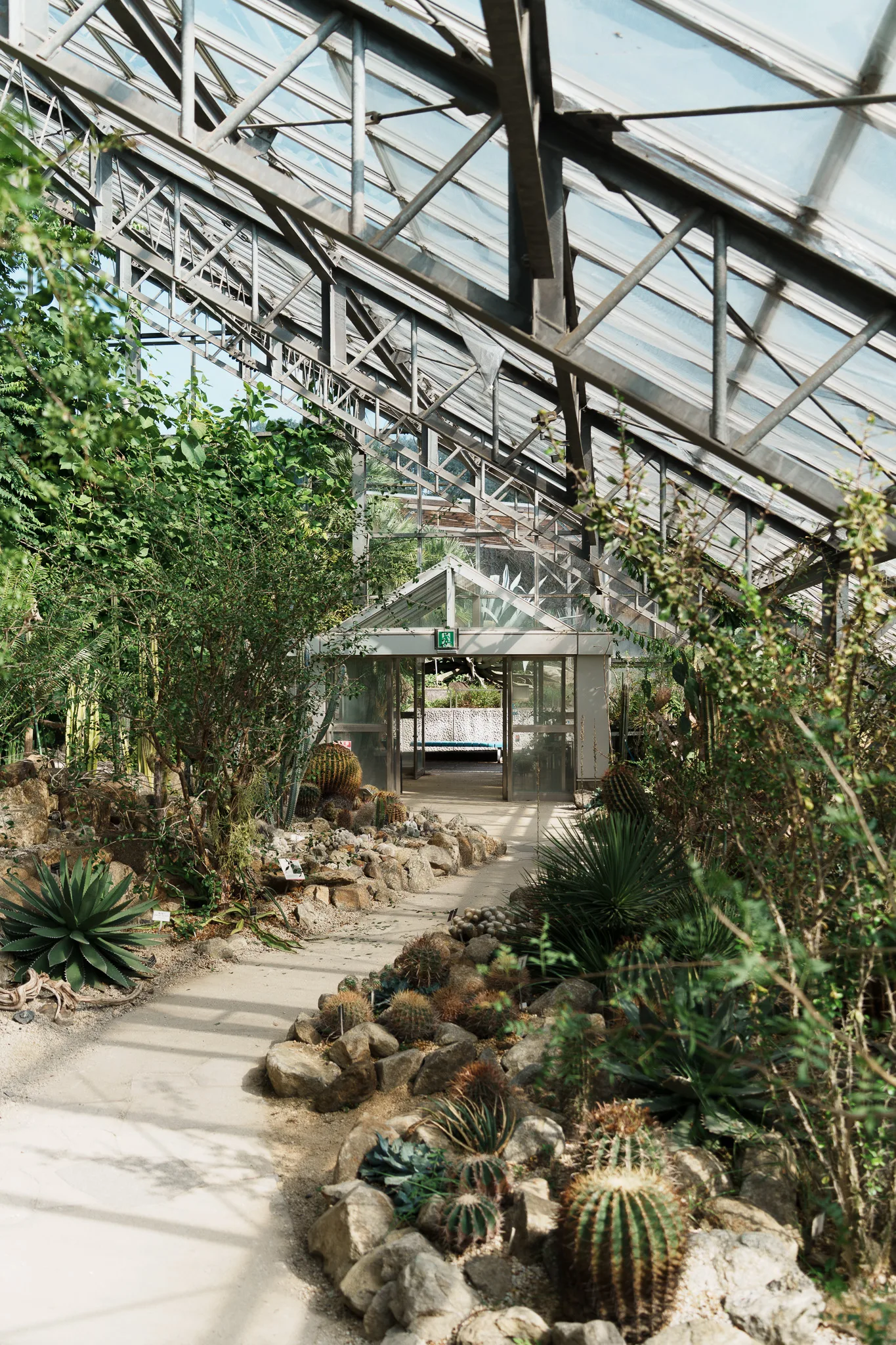 筑波実験植物園-03.jpg