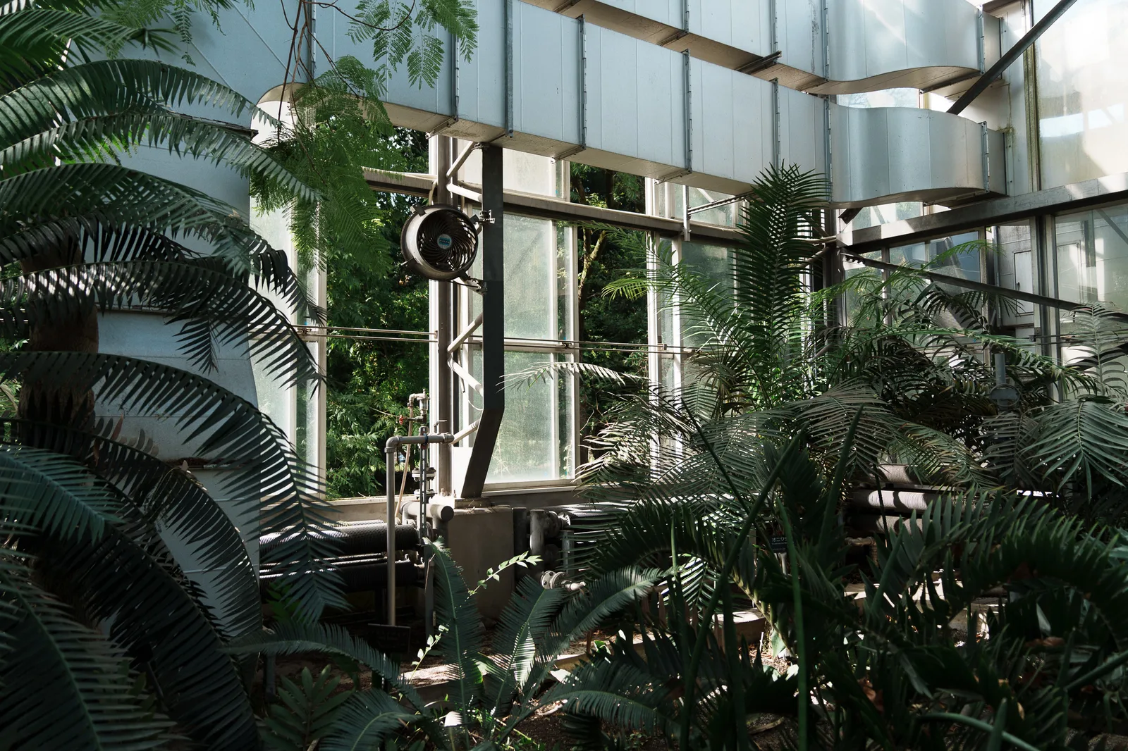筑波実験植物園-34.jpg