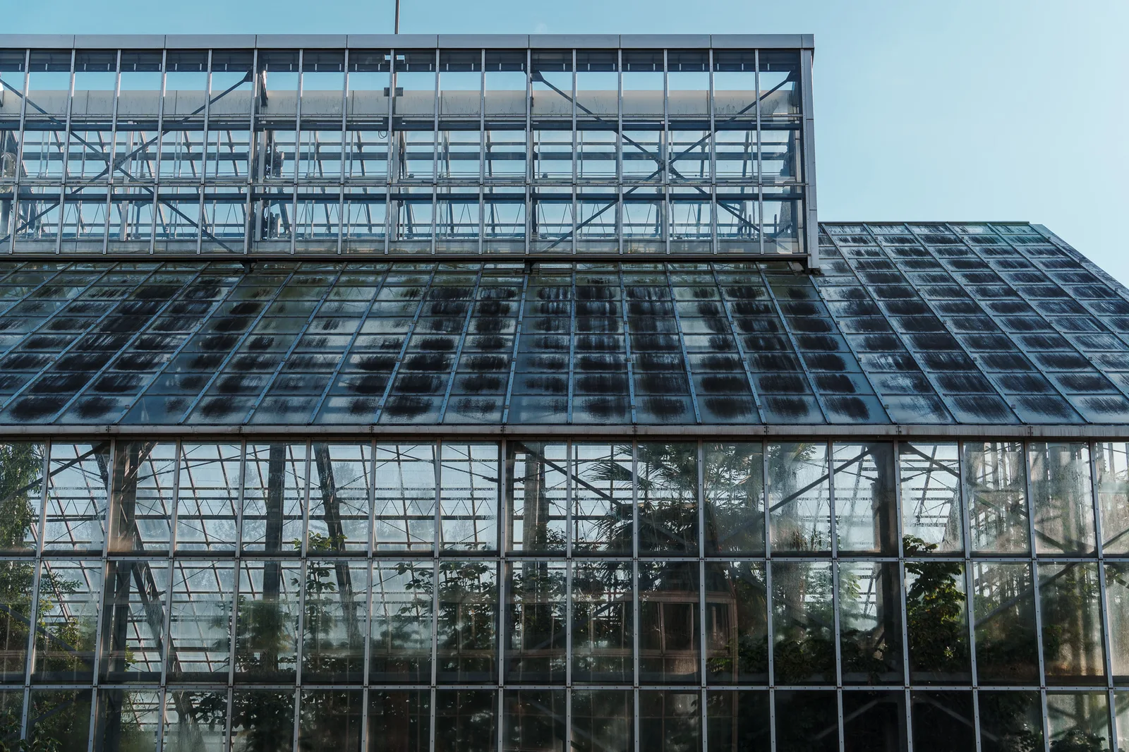 筑波実験植物園-01.jpg