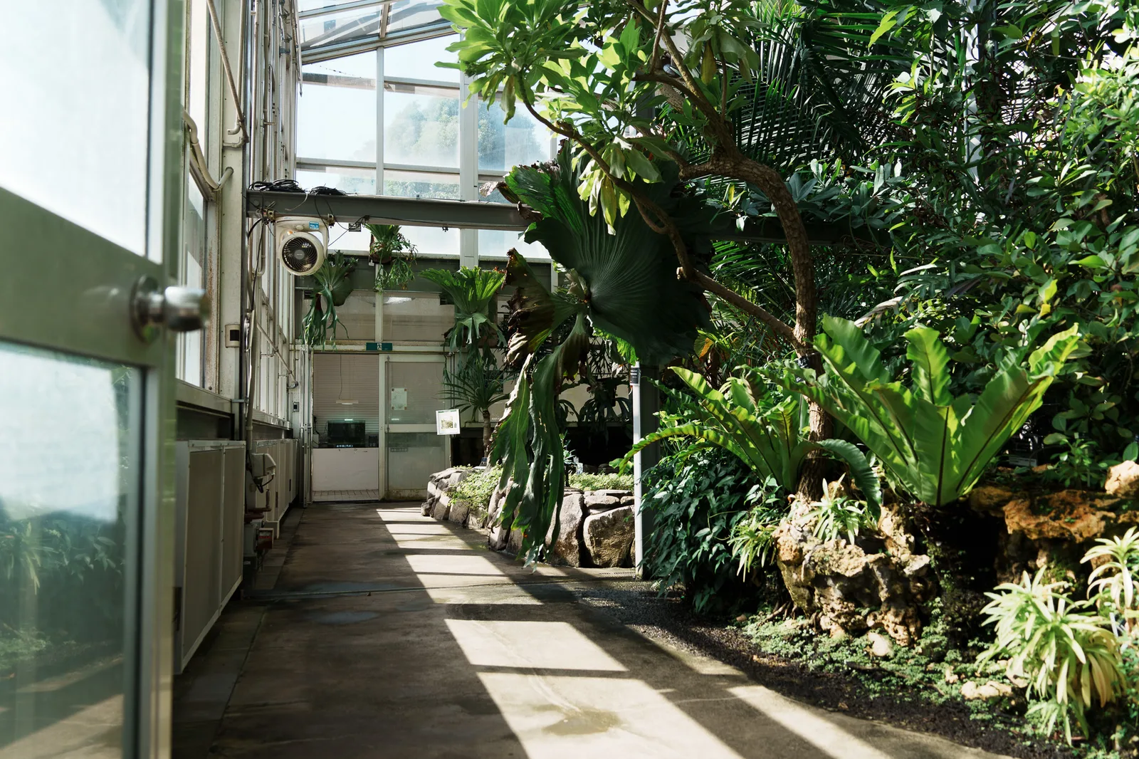 筑波実験植物園-39.jpg
