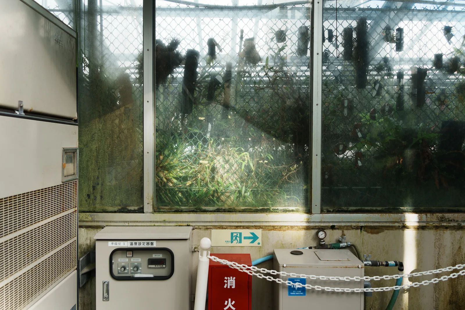 筑波実験植物園-23.jpg