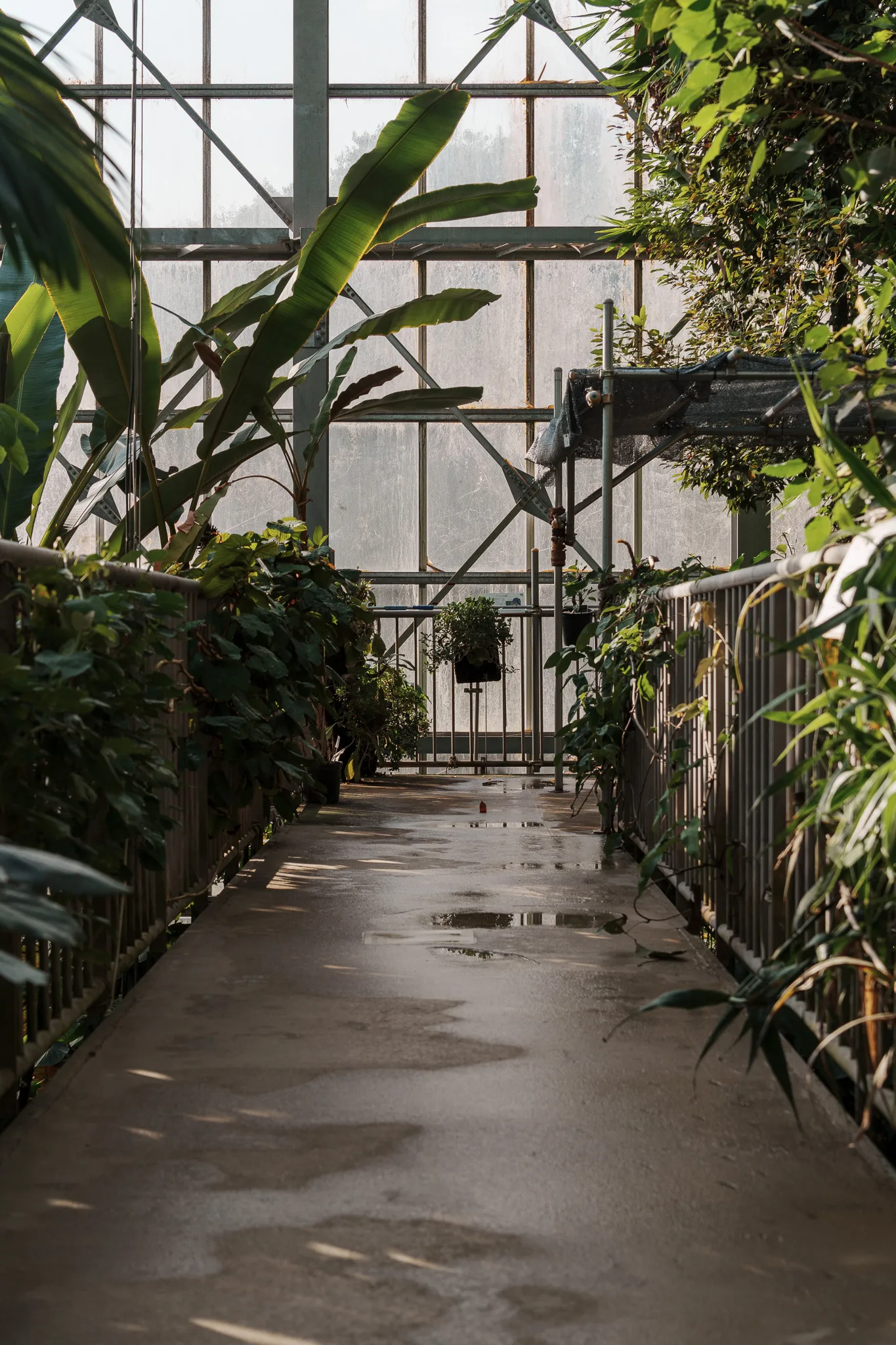 筑波実験植物園-17.jpg