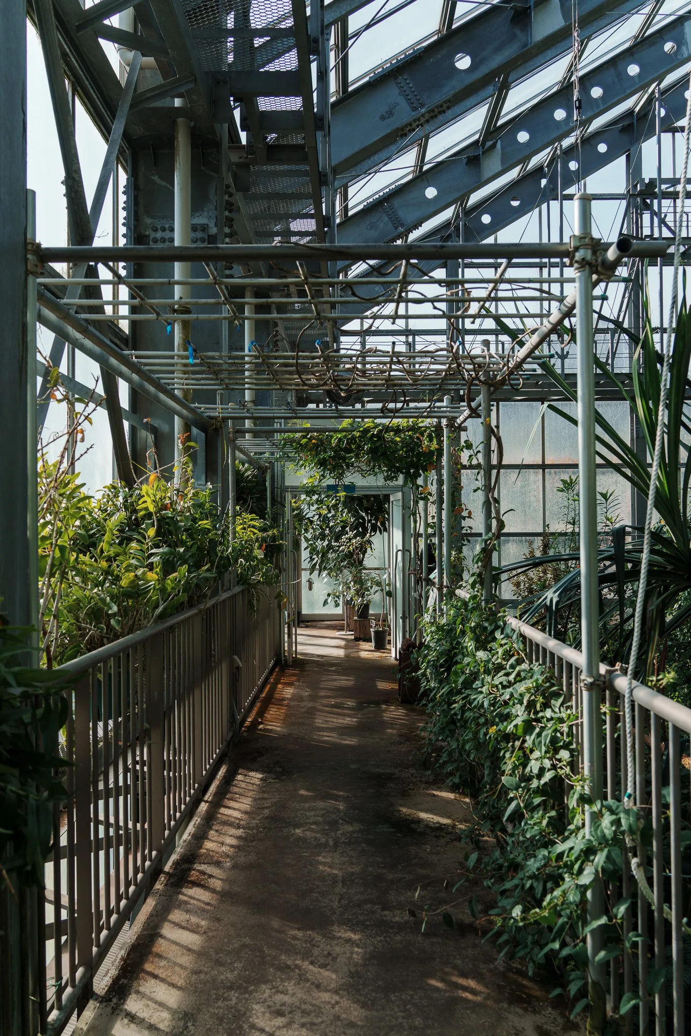 筑波実験植物園-15.jpg