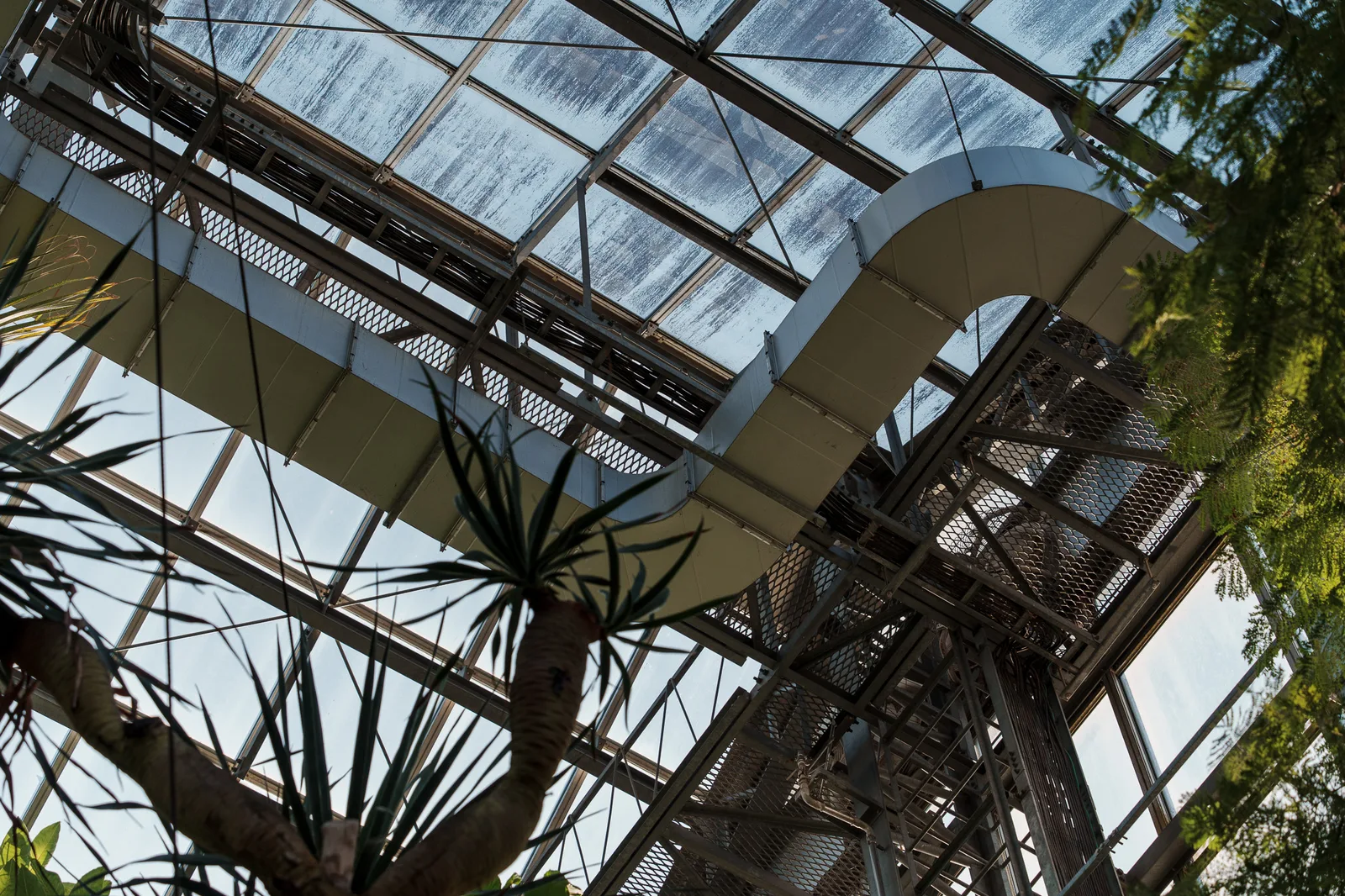 筑波実験植物園-09.jpg