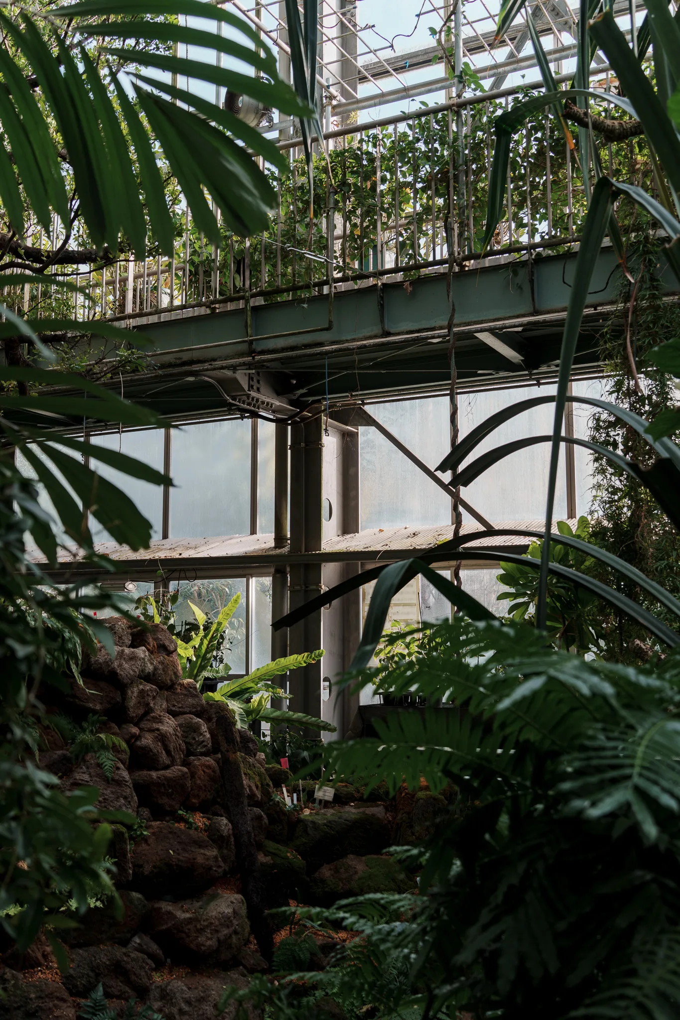 筑波実験植物園-28.jpg