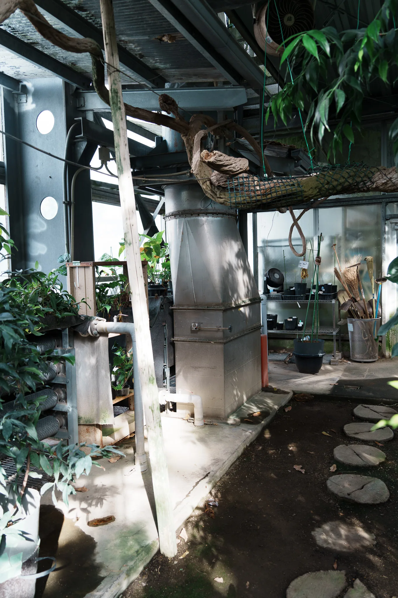 筑波実験植物園-26.jpg