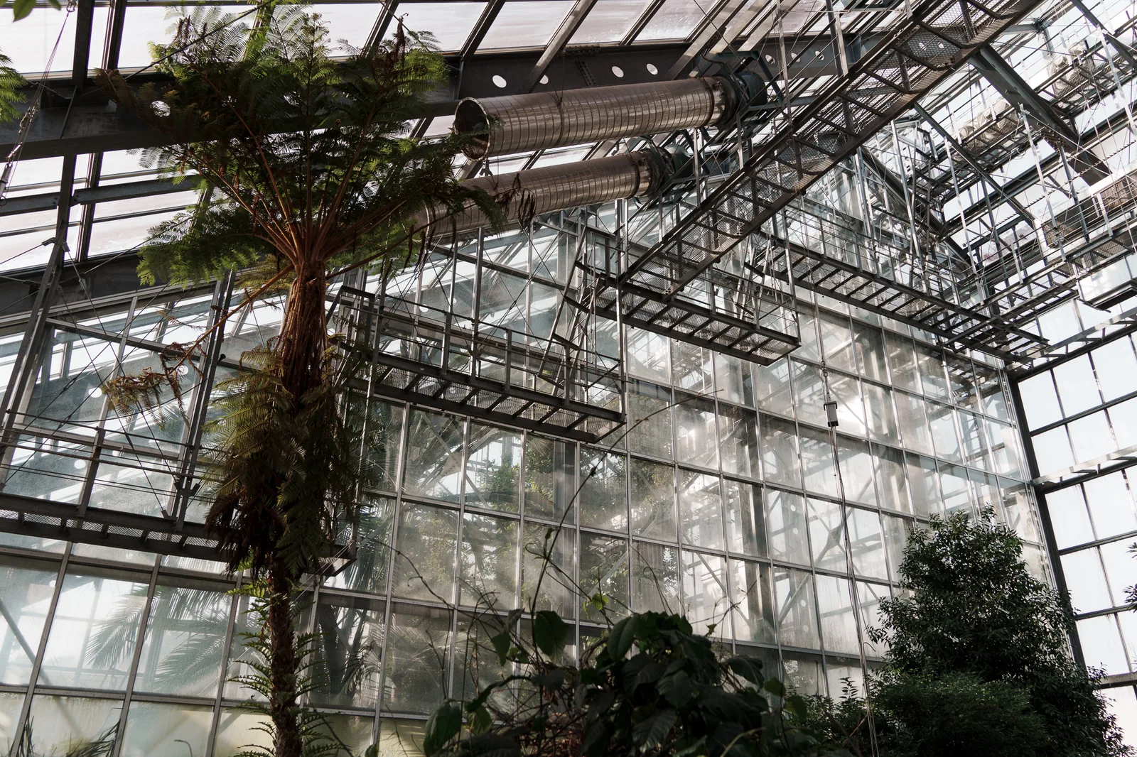筑波実験植物園-27.jpg