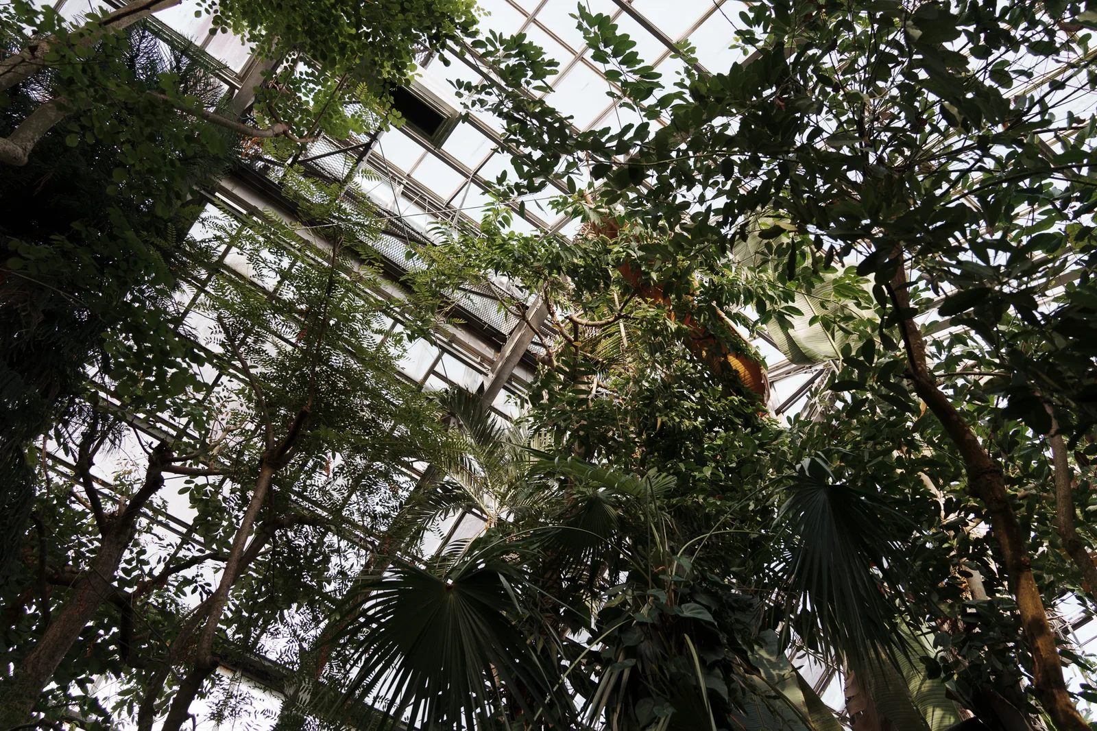 筑波実験植物園-35.jpg
